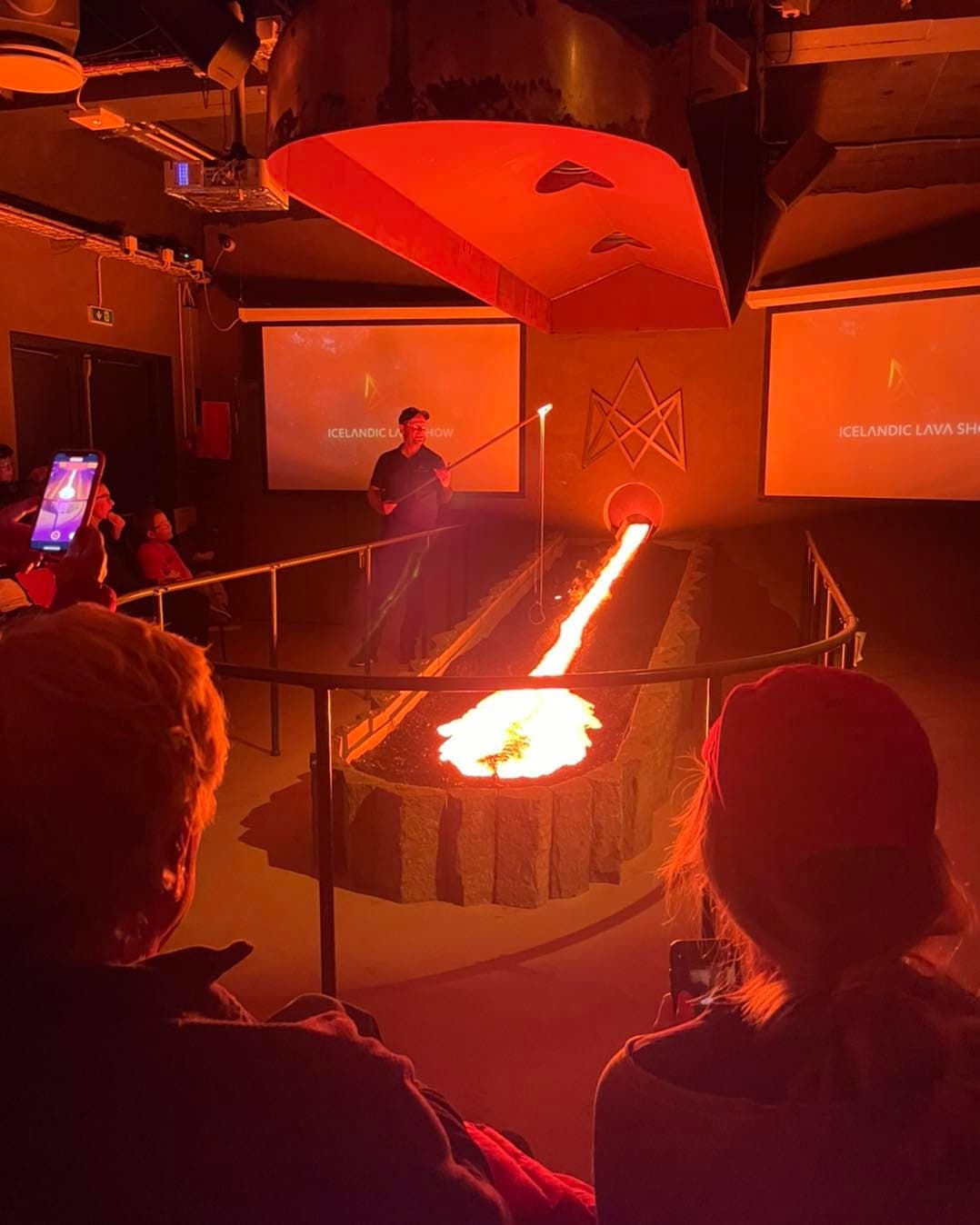 Whale Watching & Lava Show Reykjavik: Nature's Breathtaking Spectacle - photo 31