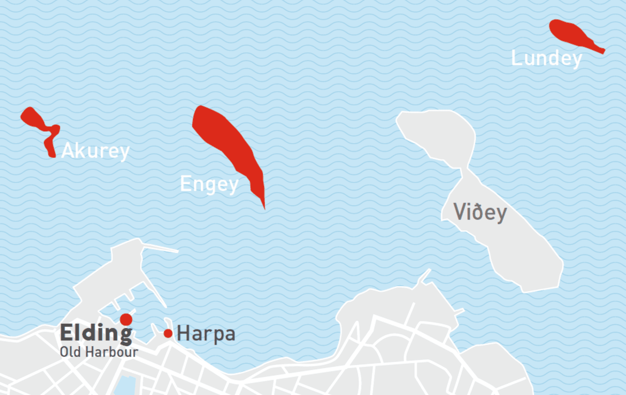 Reykjavík Premium Puffin Watching - photo 19