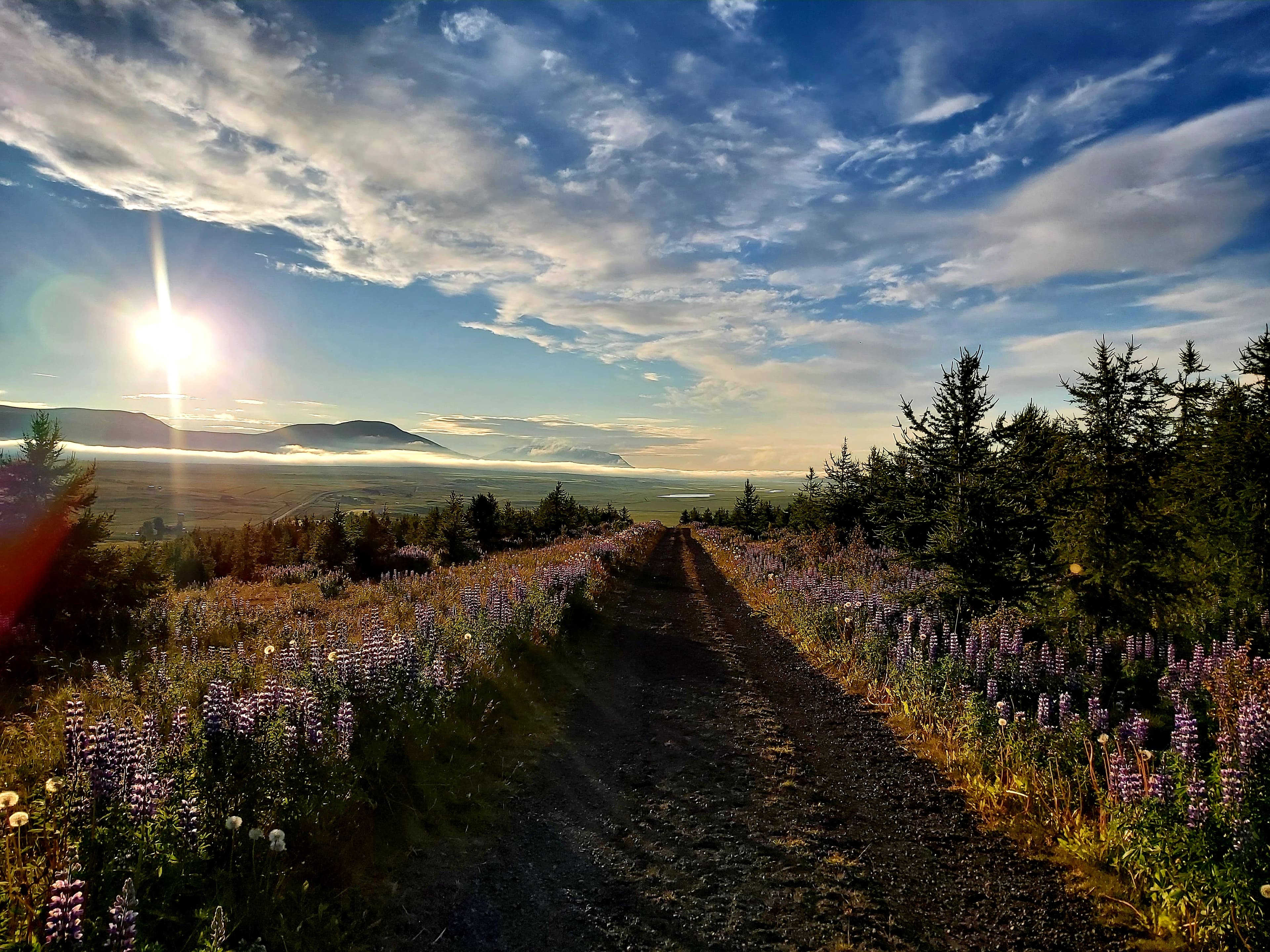 Local Life in past & present - Skagafjörður - photo 4