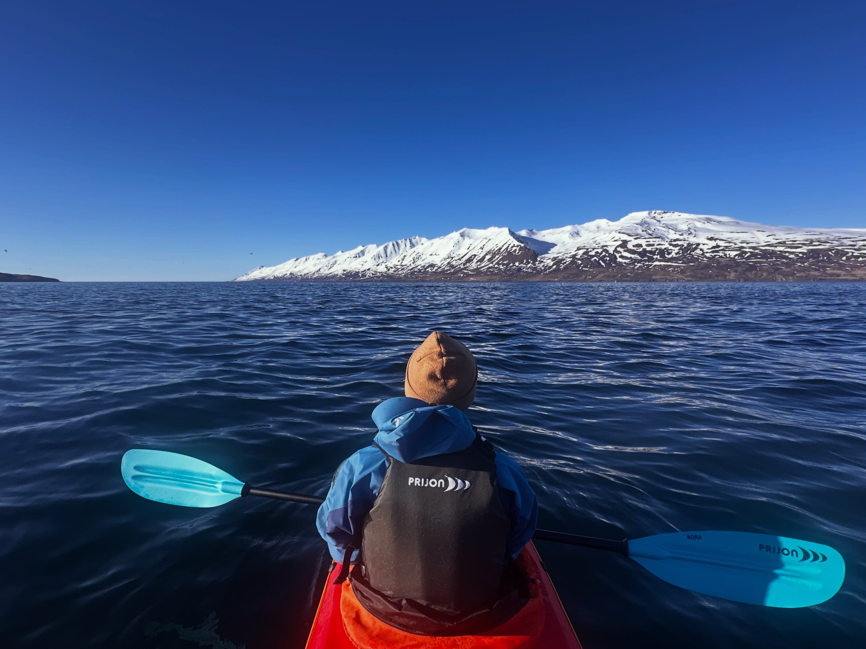 Guided Kayak Tour in Árskógssandur: Explore Coastline & Wildlife - photo 3