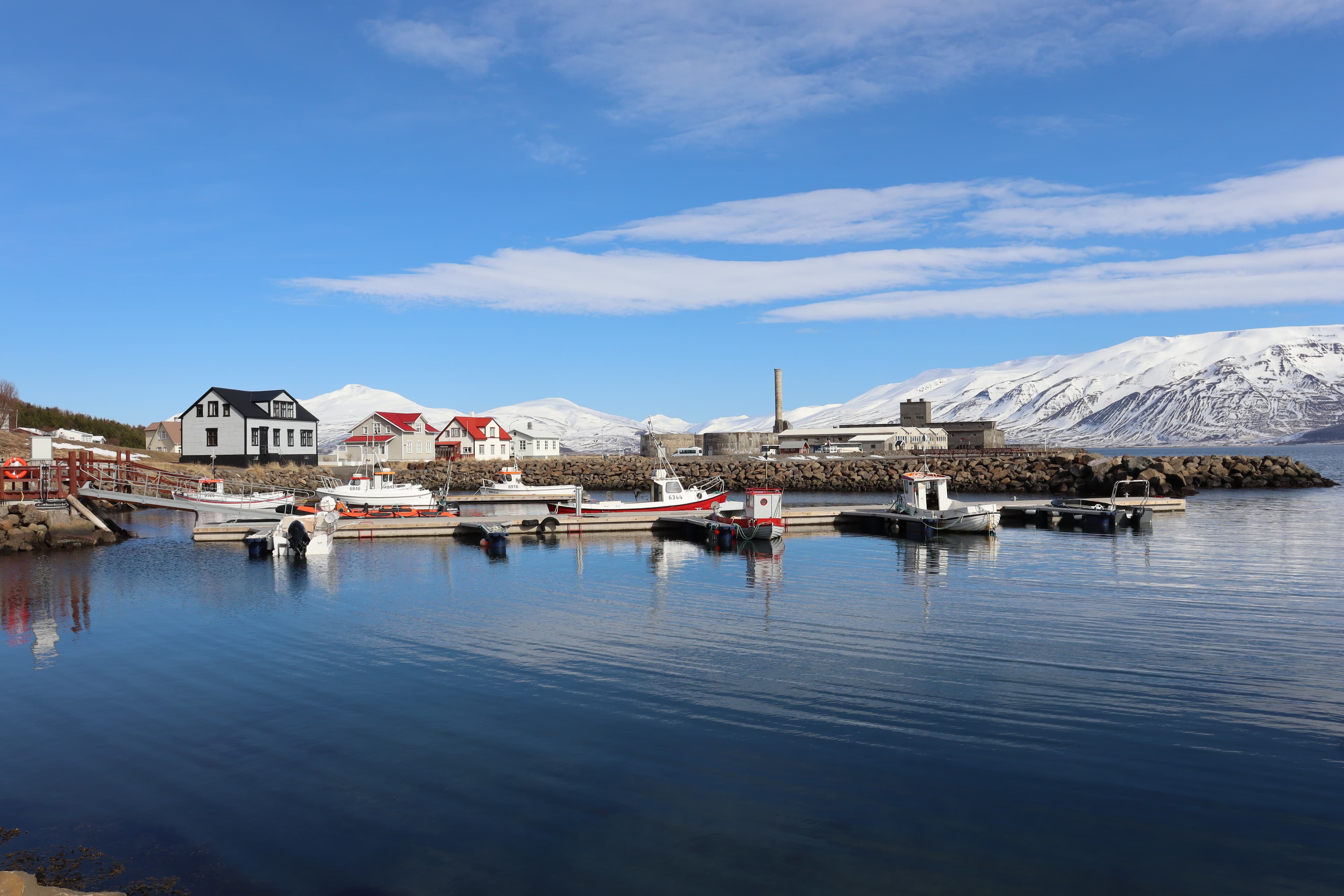 Local taste, handcraft & Micro Brewery