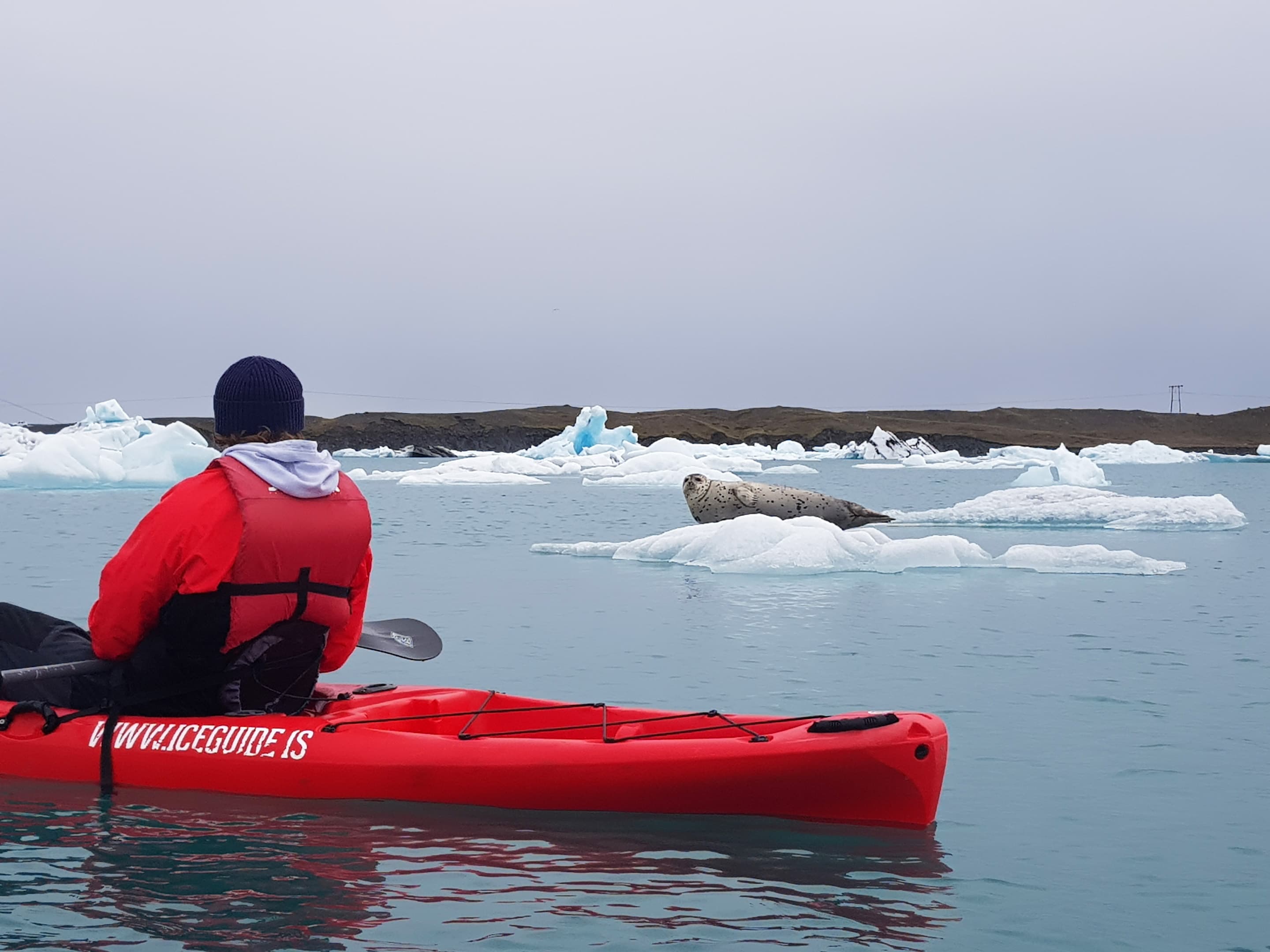 Kayaking at The Glacier Lagoon  - photo 18
