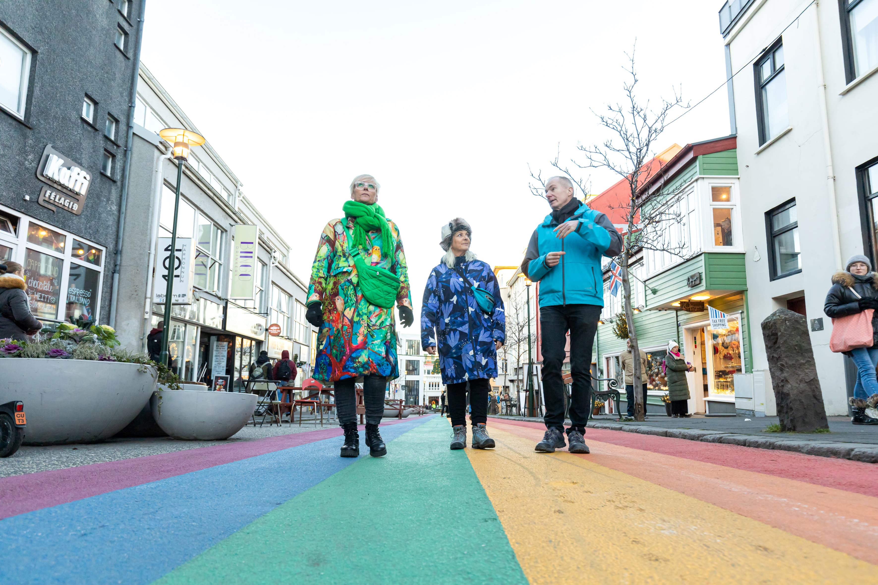 Private Reykjavik Walking Tour - Walk With a Viking - photo 10