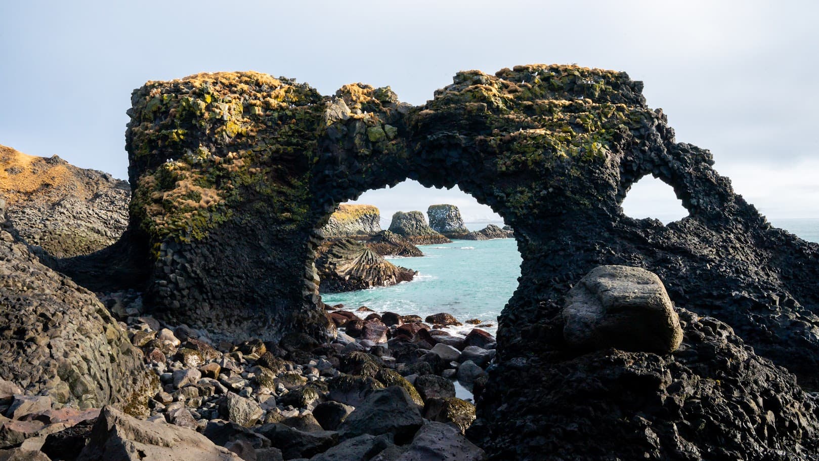 Snæfellsnes en español con almuerzo incluido en una granja en minibus - photo 11
