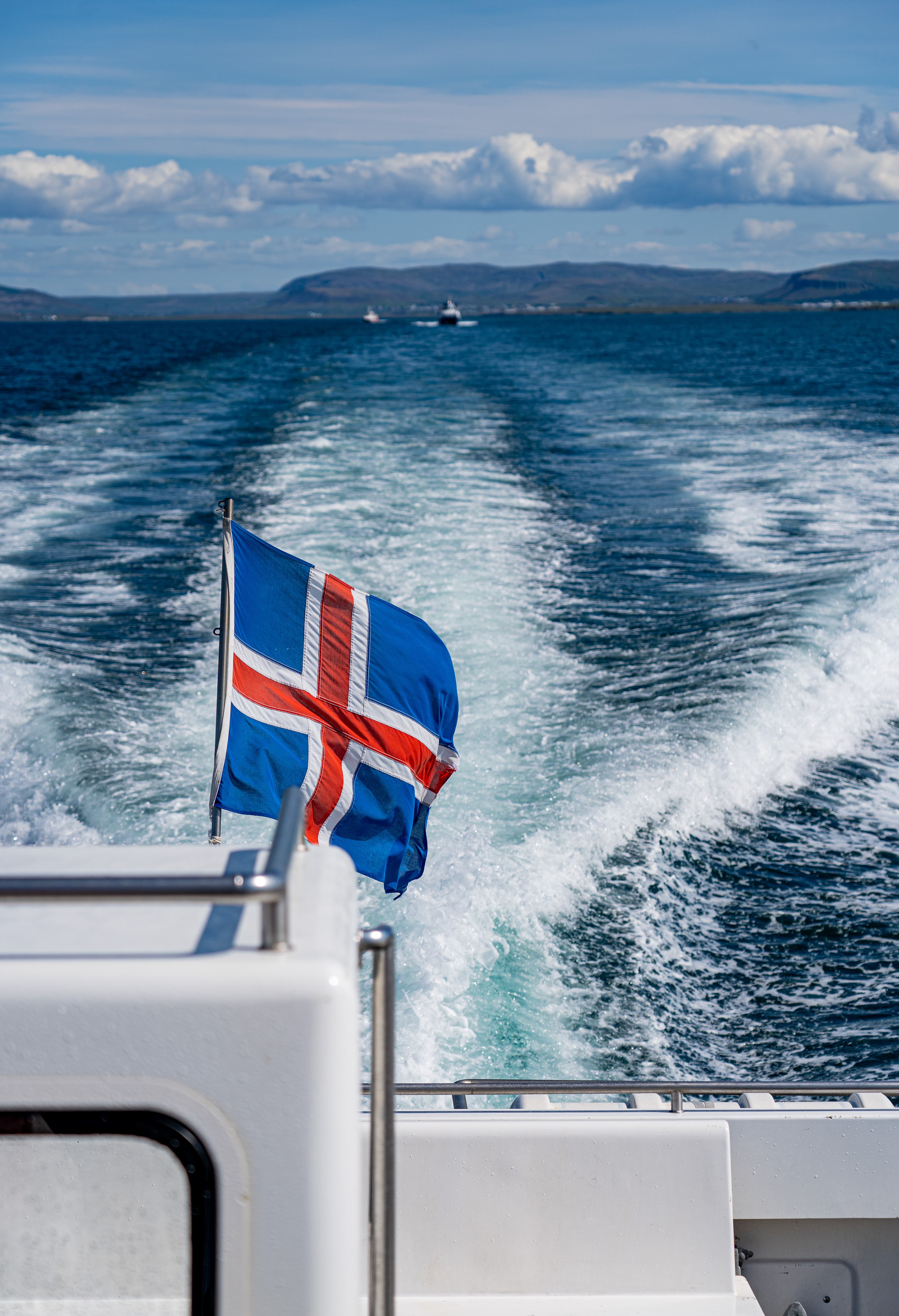 Whale Watching Excursion from Reykjavik & Whales of Iceland Exhibition: Explore the Sea's Giants - photo 8