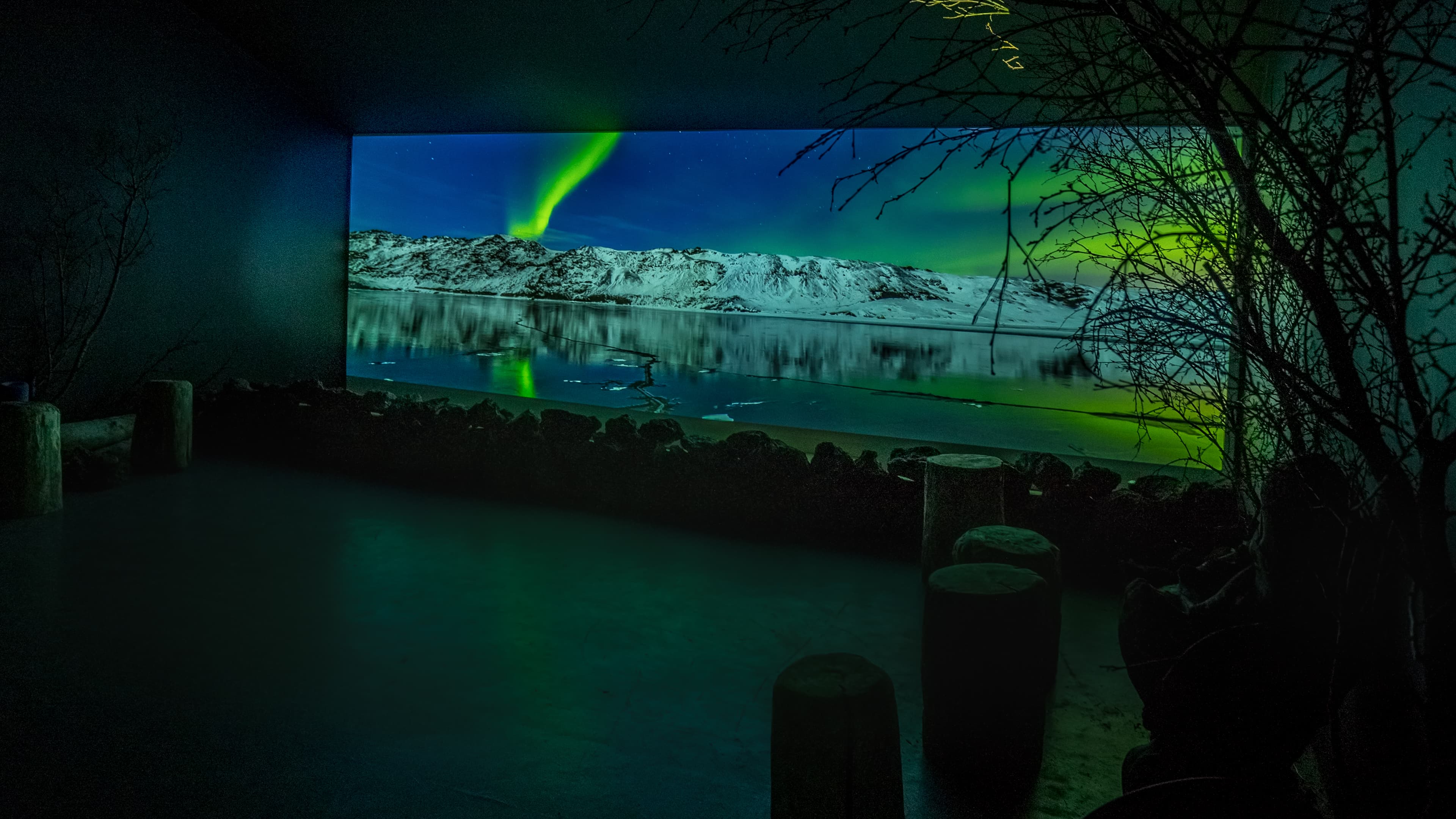 Aurora Reykjavík, The Northern Lights Center of Iceland  - Museum Visit - photo 4