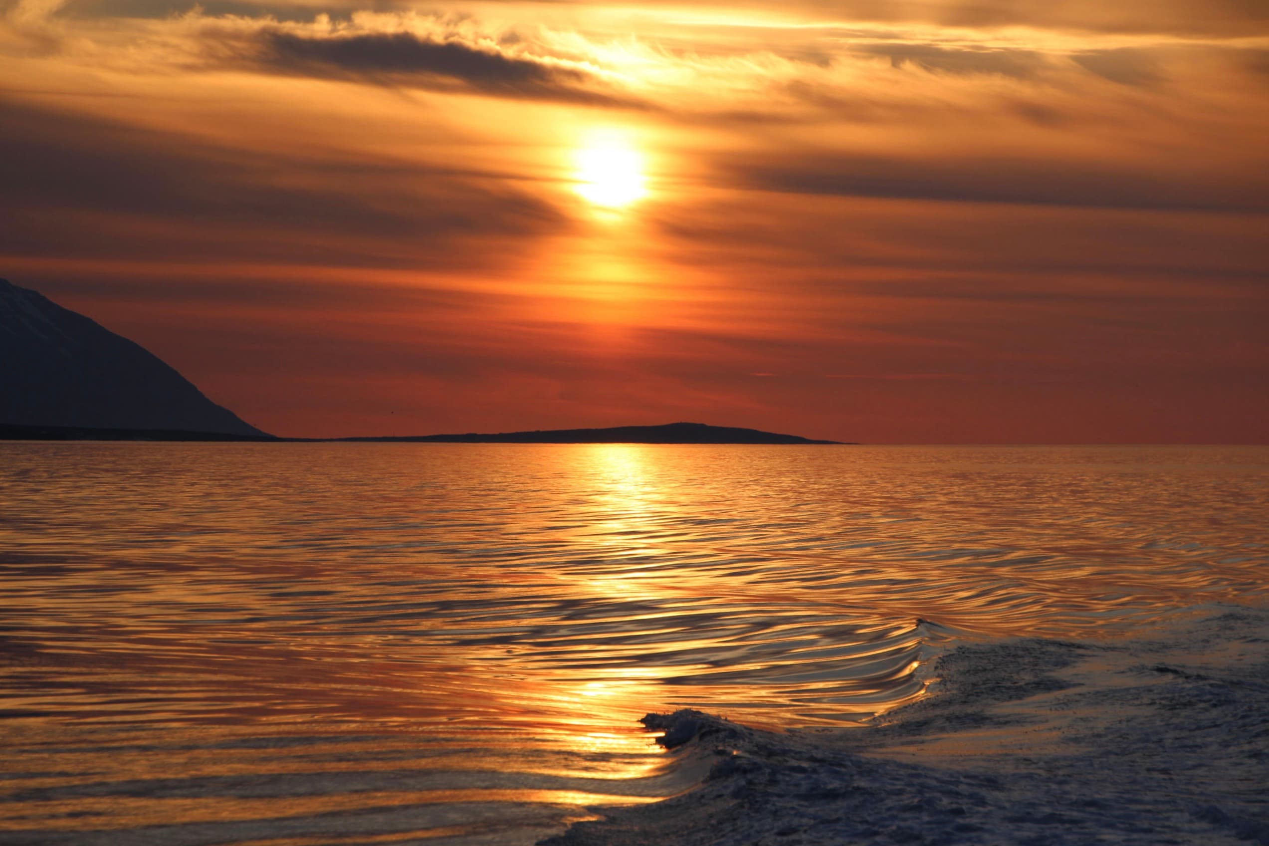 Akureyri Express Whales in the Midnight Sun - photo 3