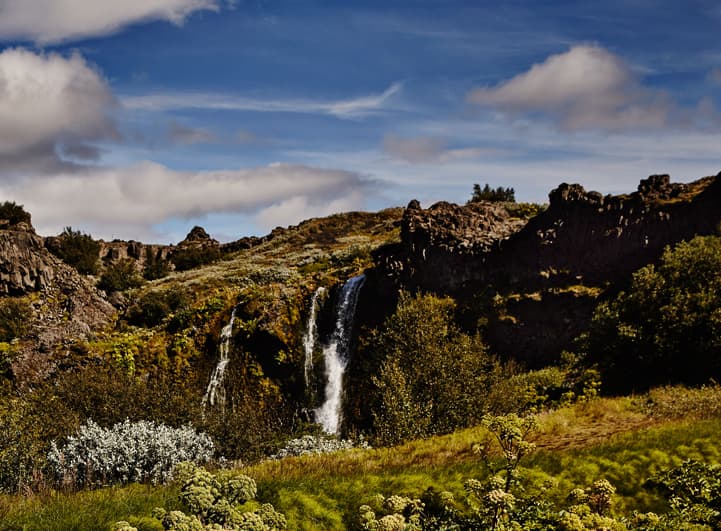 Paradise Valley & Highlands | Private Tour - photo 3