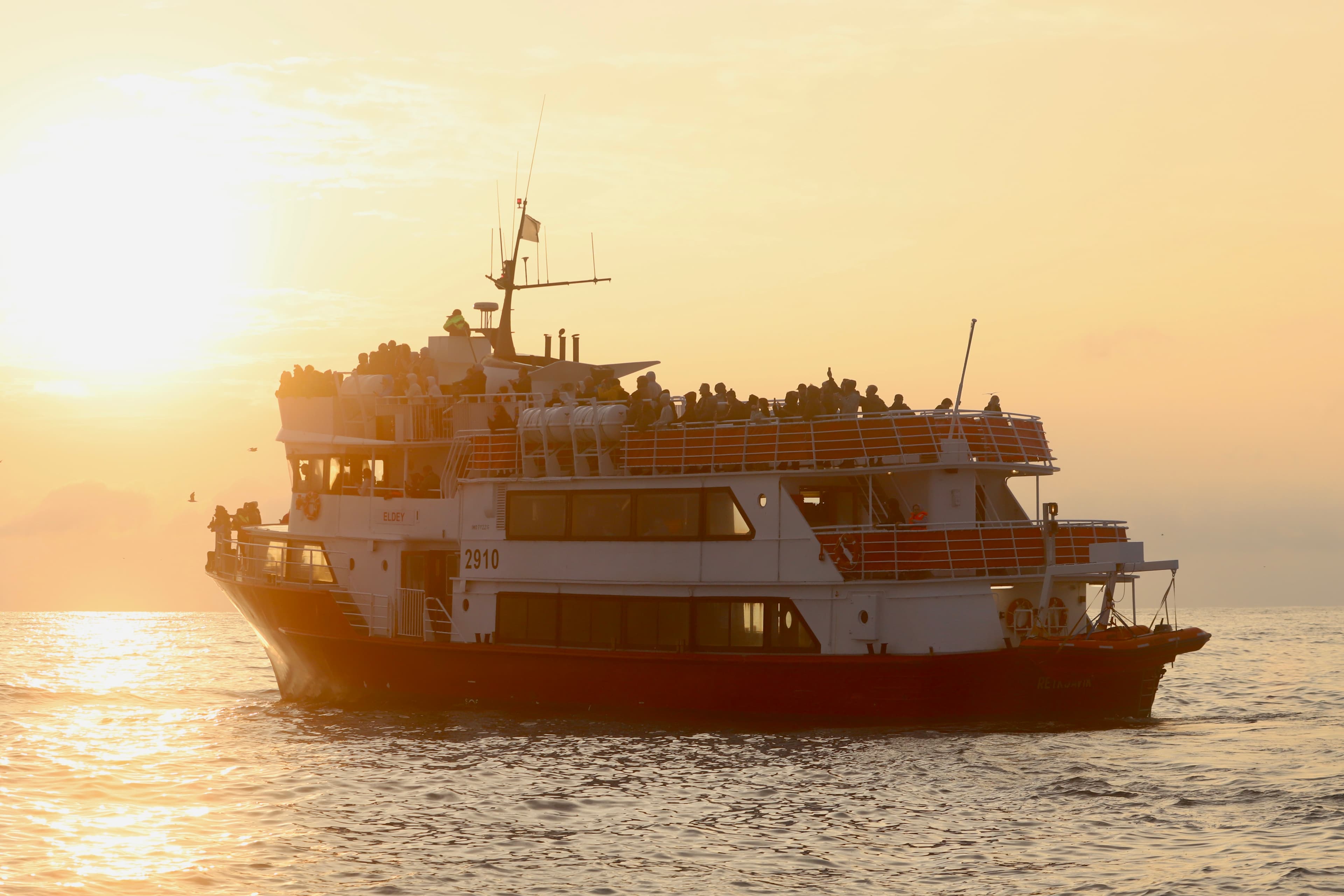 Solar Eclipse Cruise from Reykjavík - photo 2