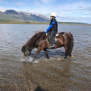 Horse Riding Tour and Explore Scenery in Gásir Akureyri - photo 11