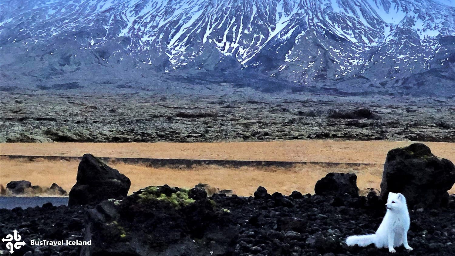Snæfellsnes Peninsula Tour - photo 4