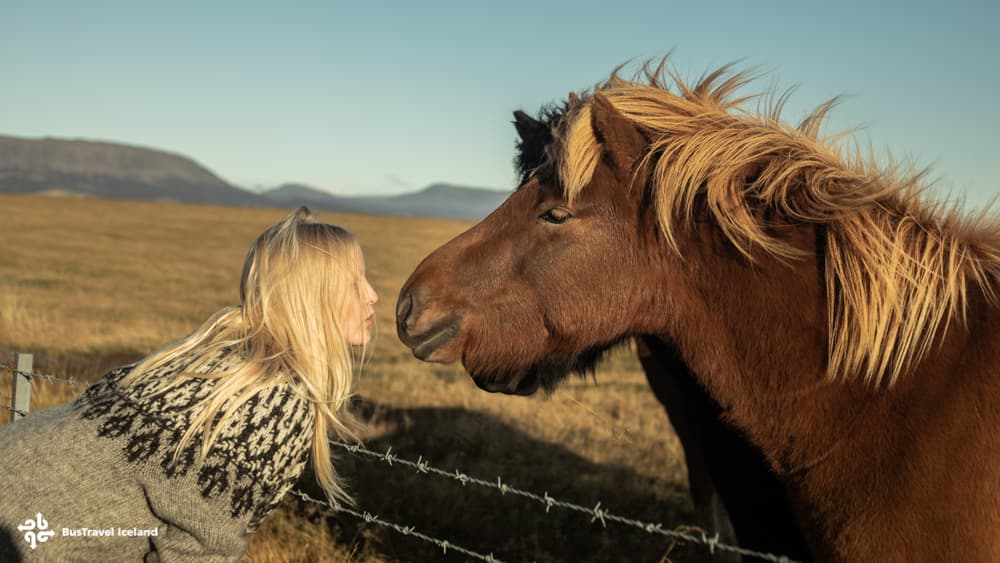 Grand Golden Circle Tour - photo 7