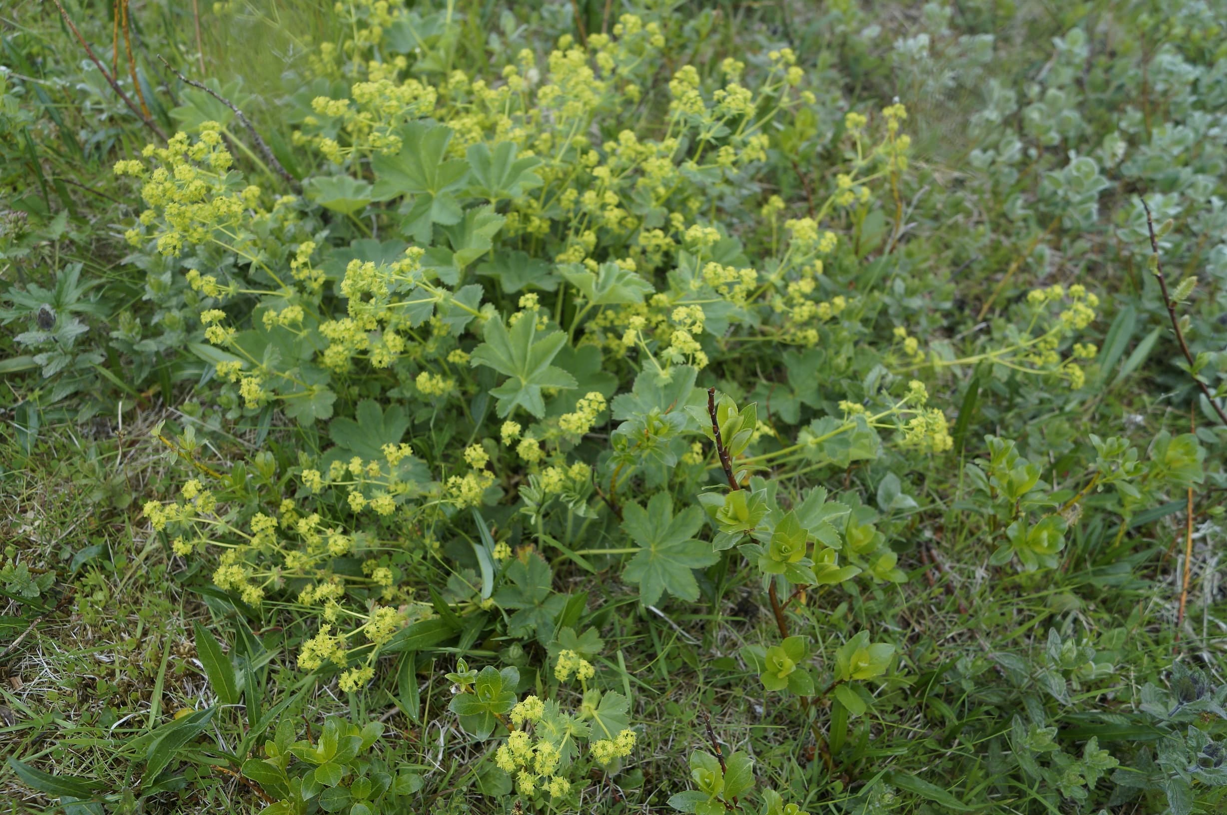 Private Day tour, you decide!  - photo 22