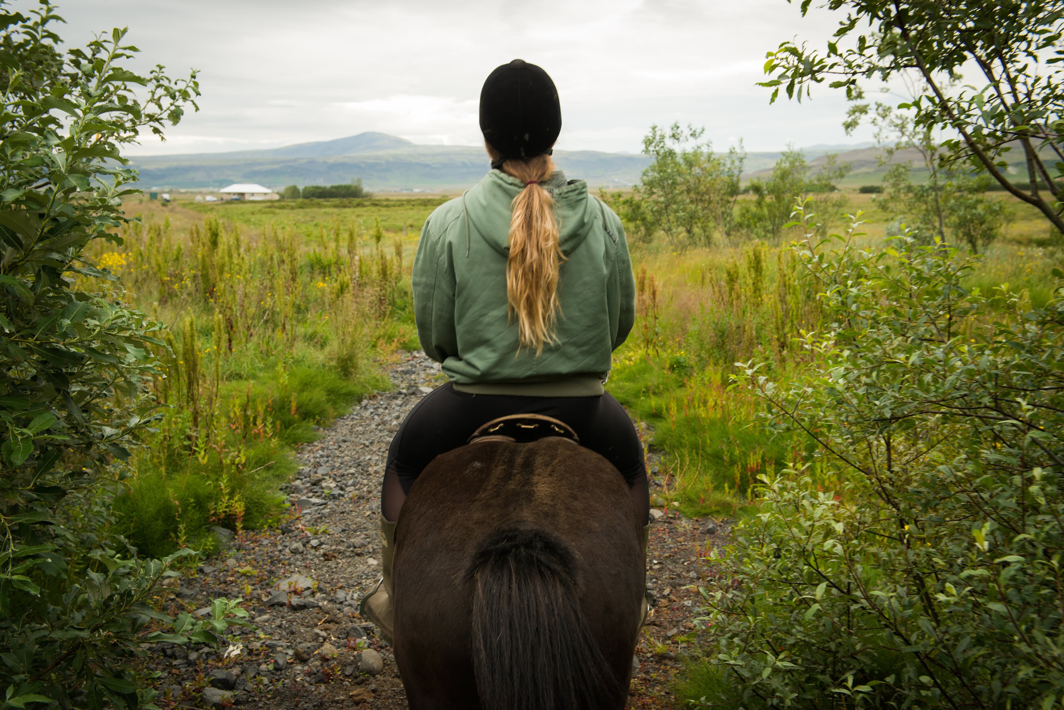 Horse Riding Tour in Reykjadalur (Hot Spring Valley)  - photo 3