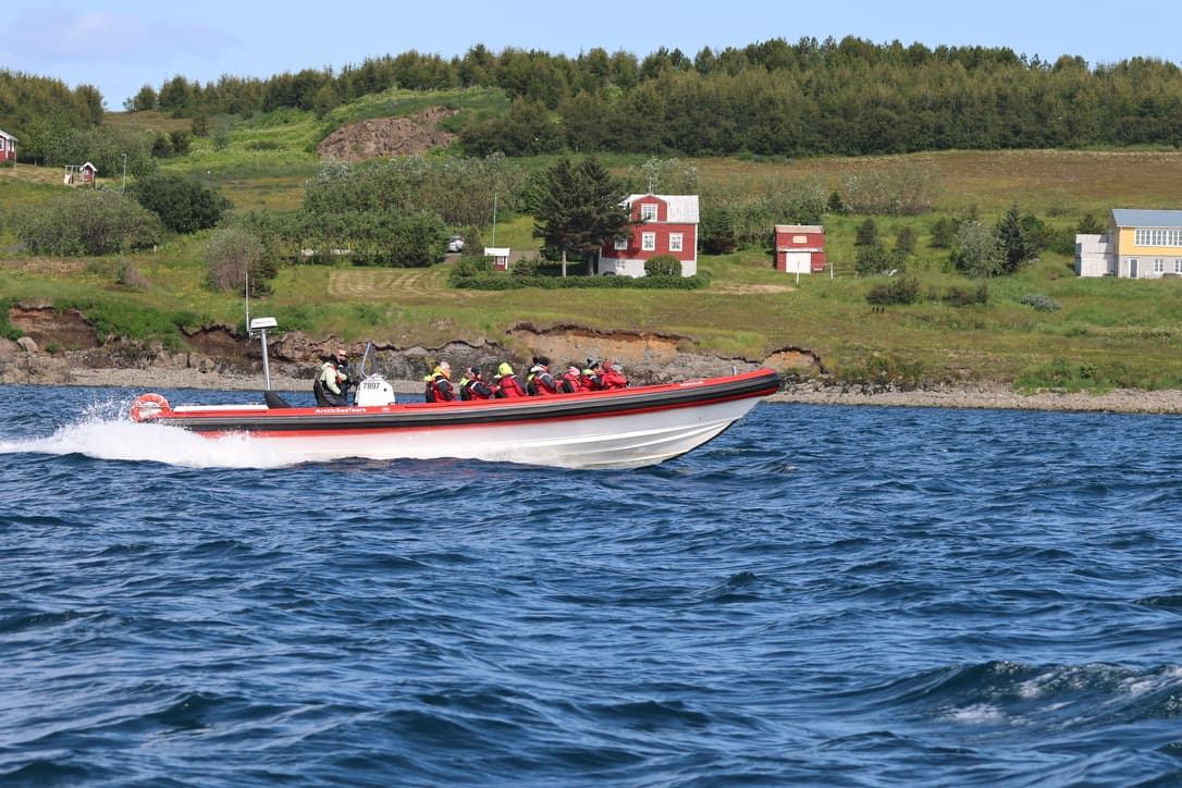 Express Whale Watching From Dalvík - photo 11