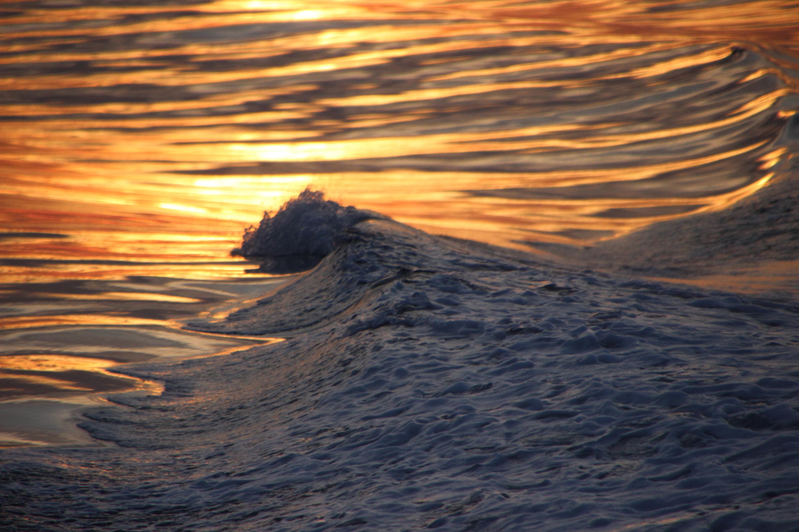 Akureyri Express Whales in the Midnight Sun - photo 8
