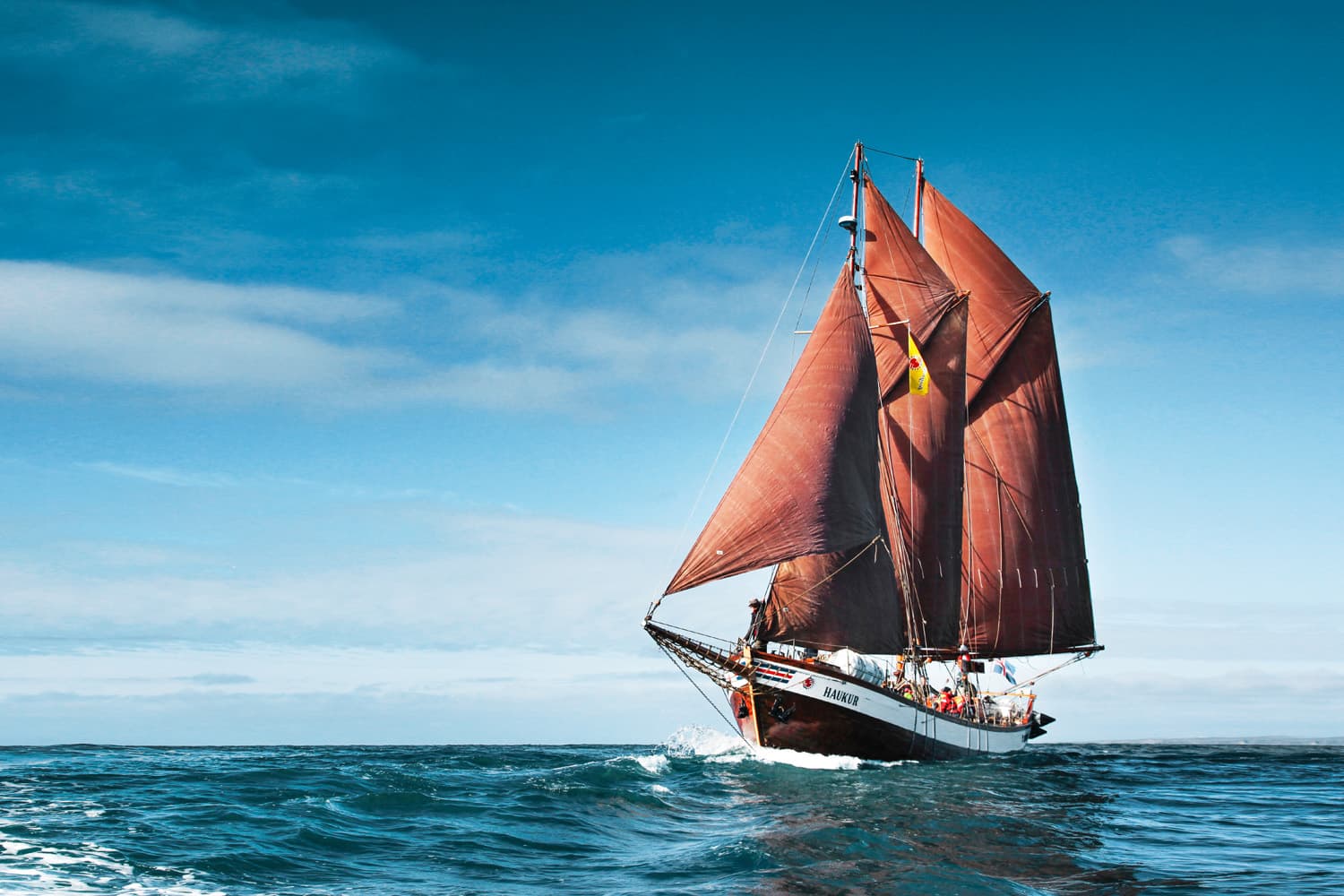 Whales and Sails