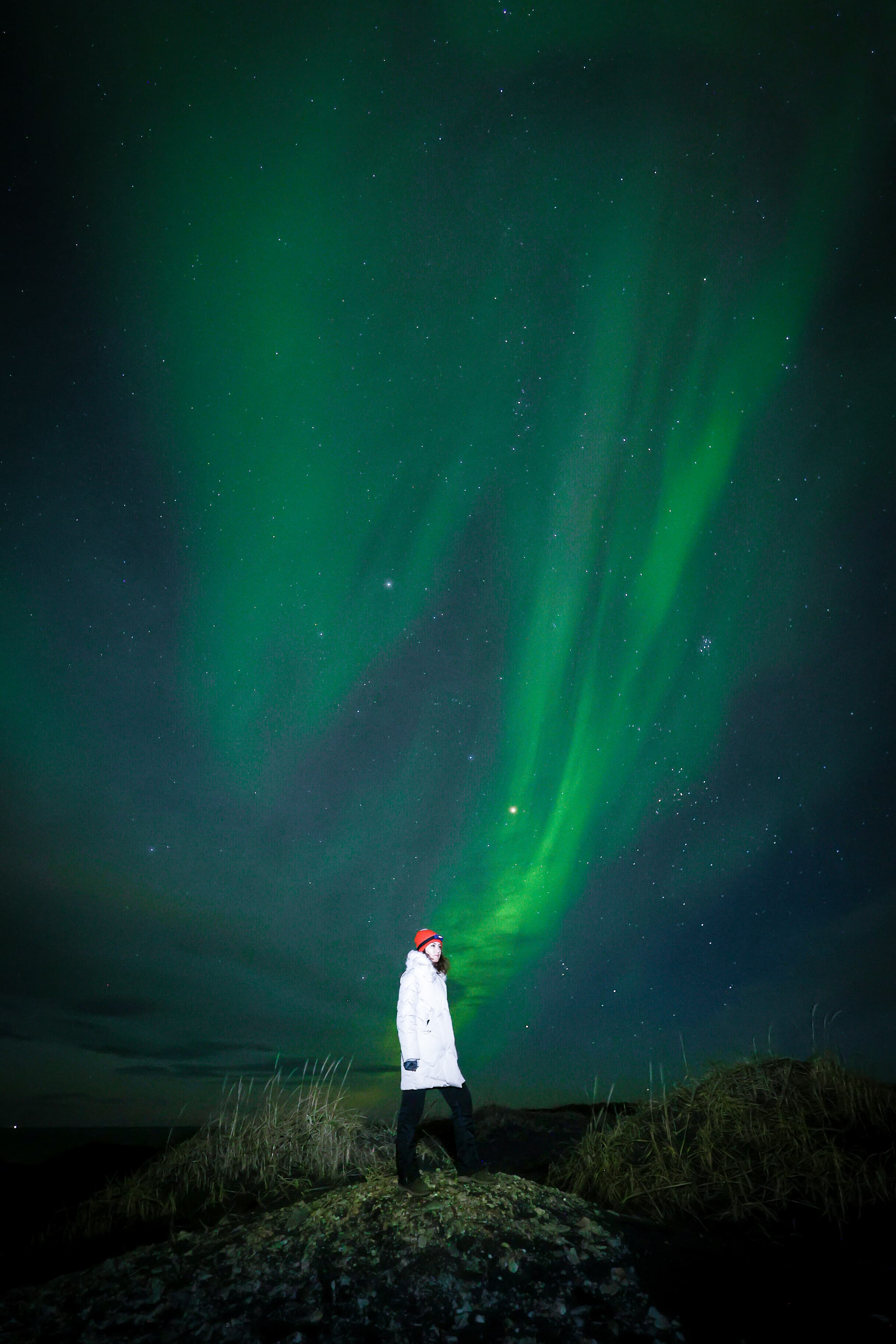 Dinner Under The Northern Lights   - photo 19