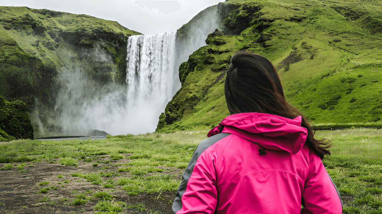 South Coast Adventure in Spanish: Small Group Day Tour from Reykjavik - photo 2