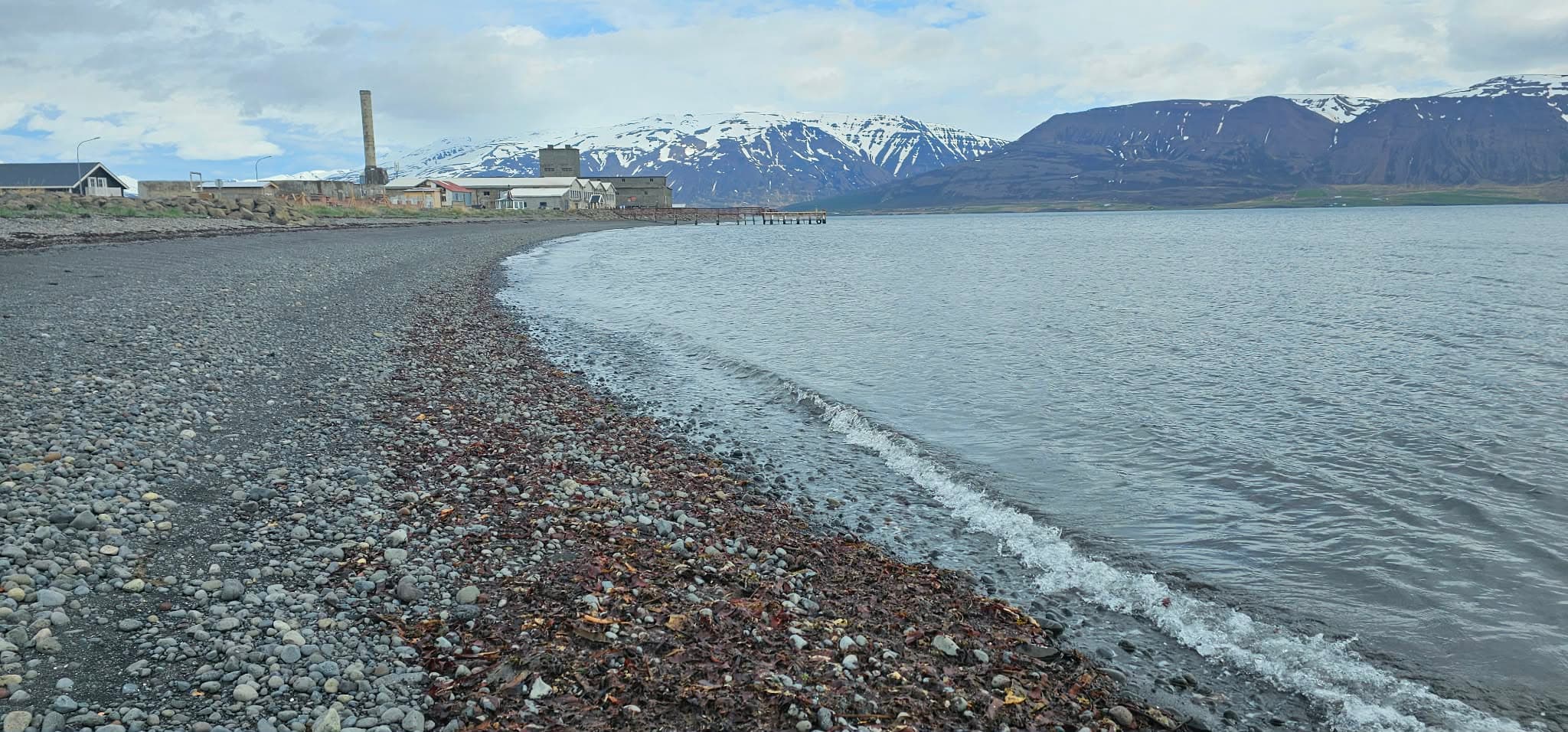 Whale watching, local taste and Micro Brewery - photo 5