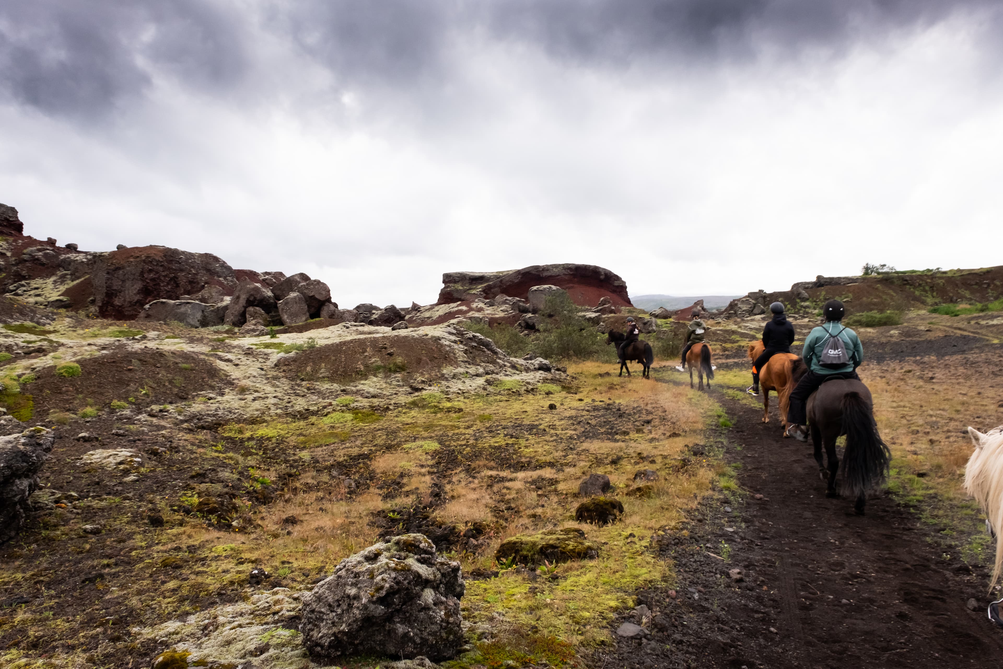 1 Hour - Winter Red lava Tour (With or Without Pick Up)  - photo 7