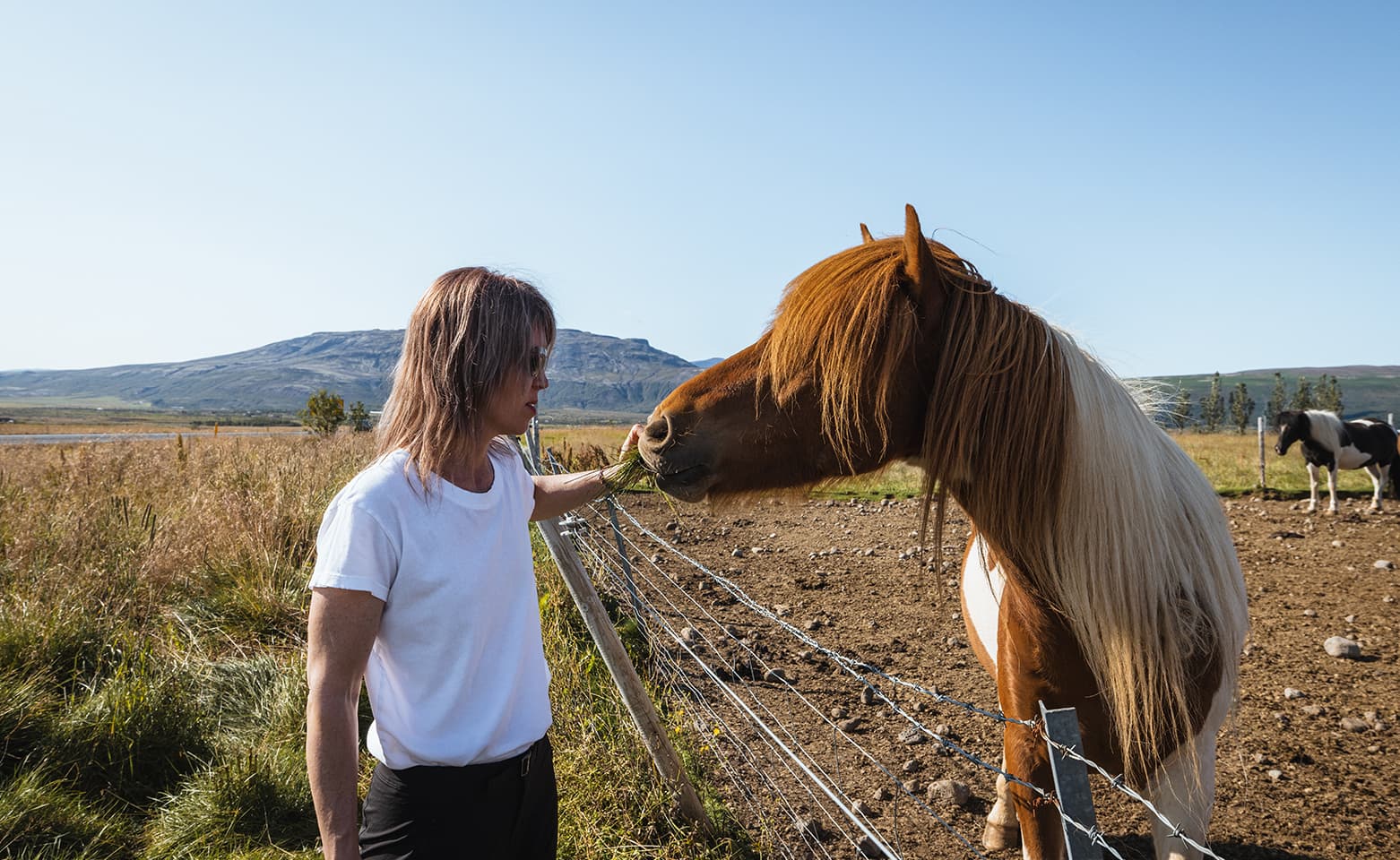 Golden Circle | Private Tour | Photo Package Included - photo 20