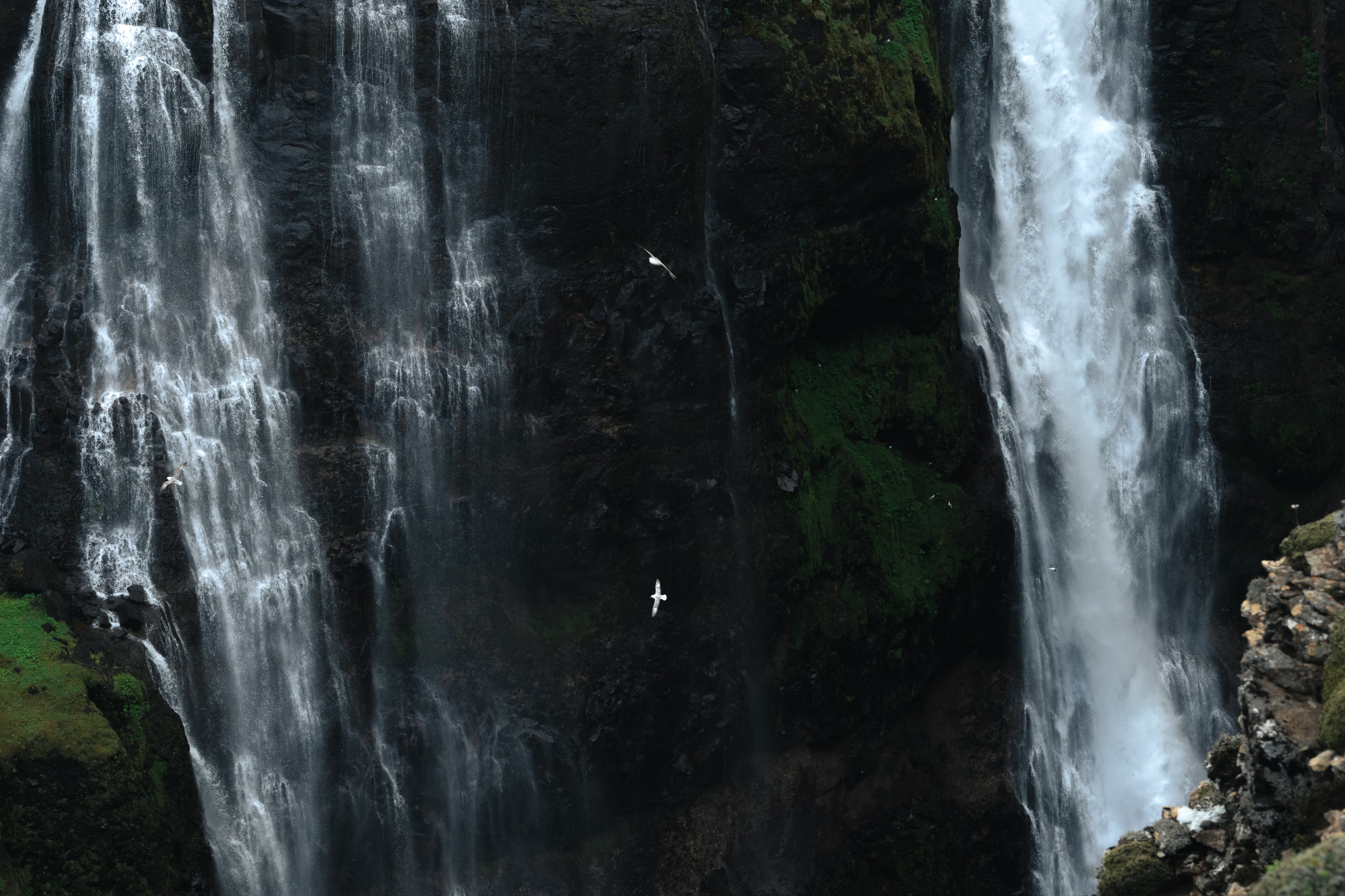 Private Hiking Tour to Glymur Waterfall: Minivan Transfer - photo 20