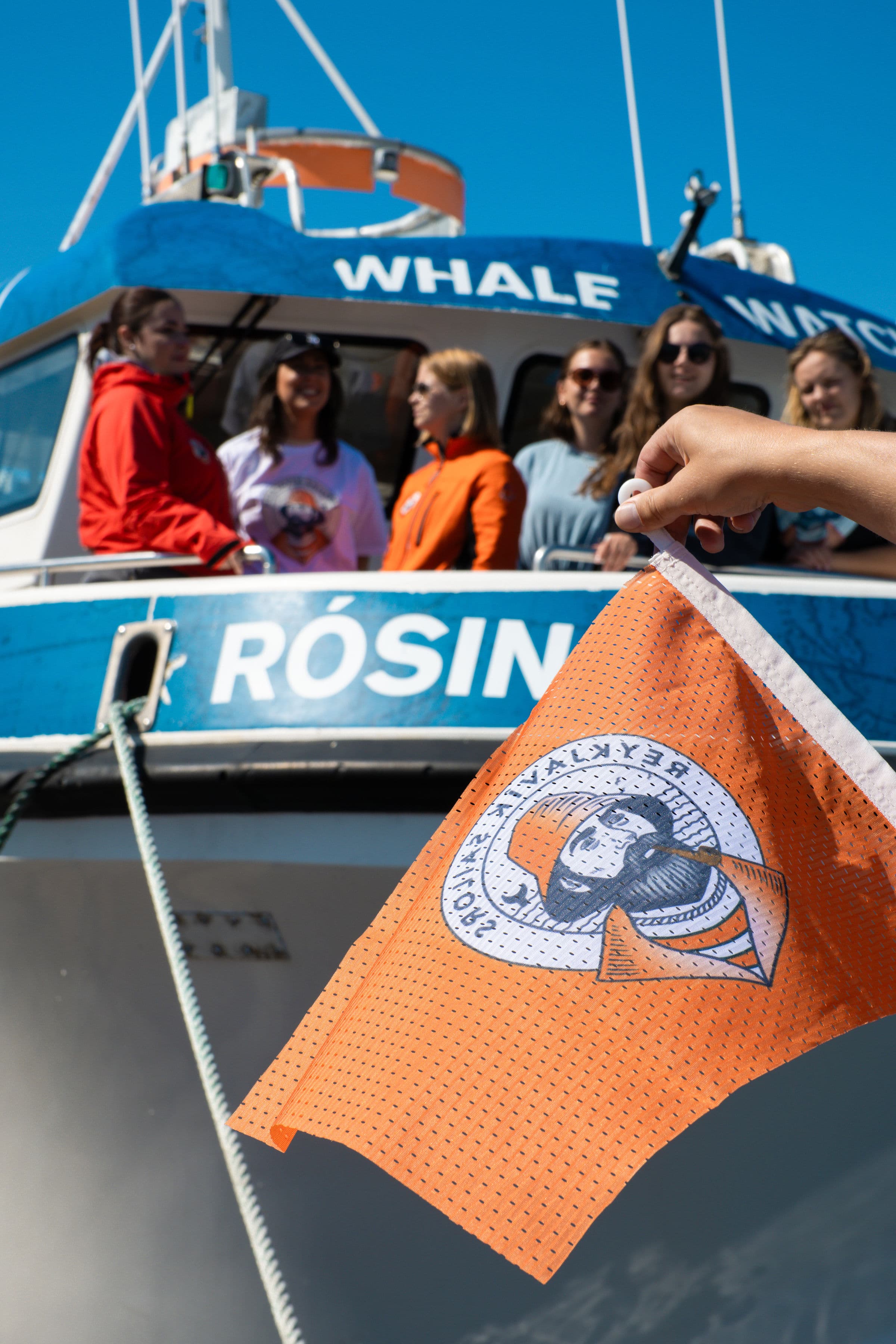 Whale Wonders: Morning Expedition - photo 12