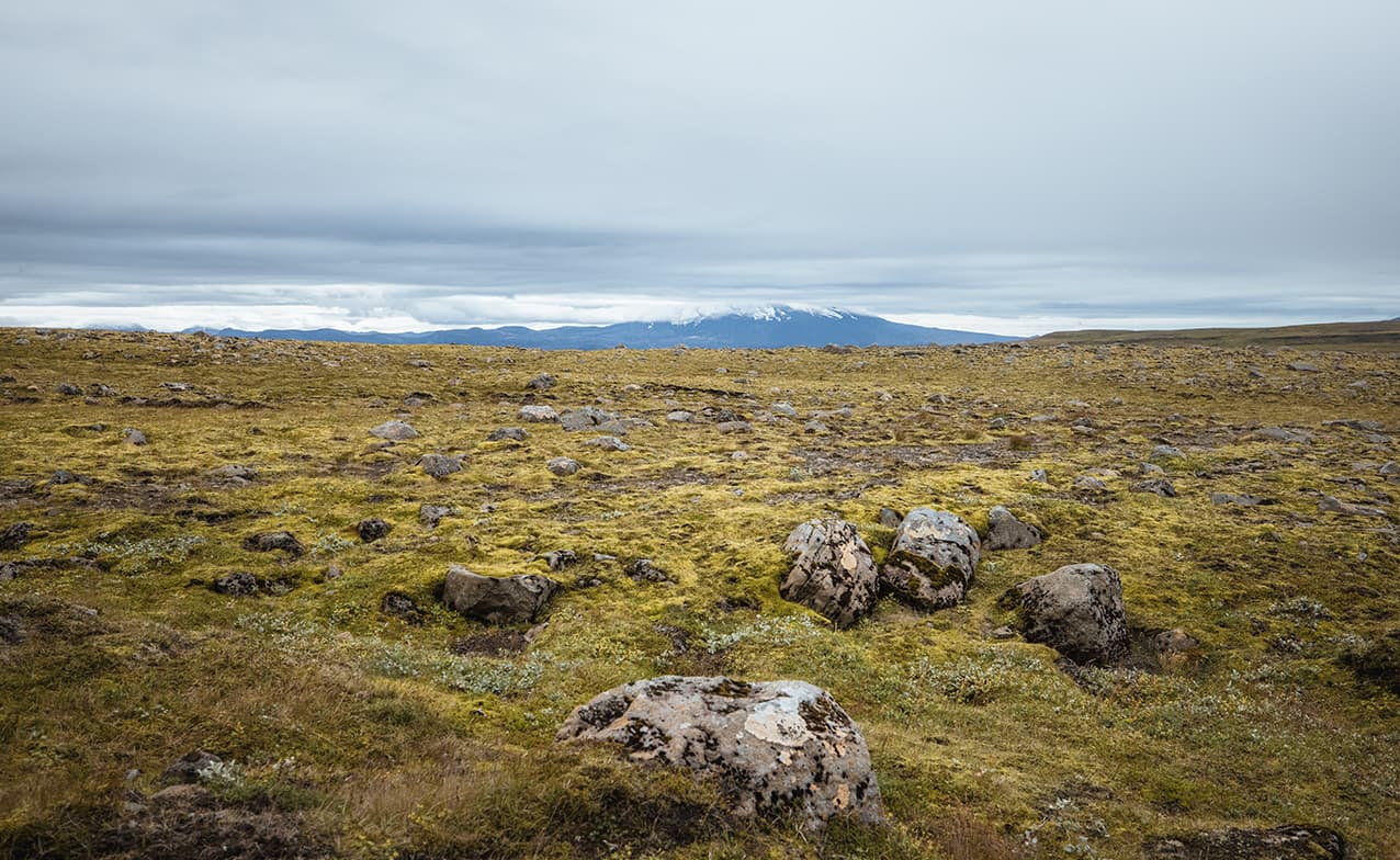 Secret Gems of Highlands & Landmannalaugar | Private Tour | Photo package included - photo 11