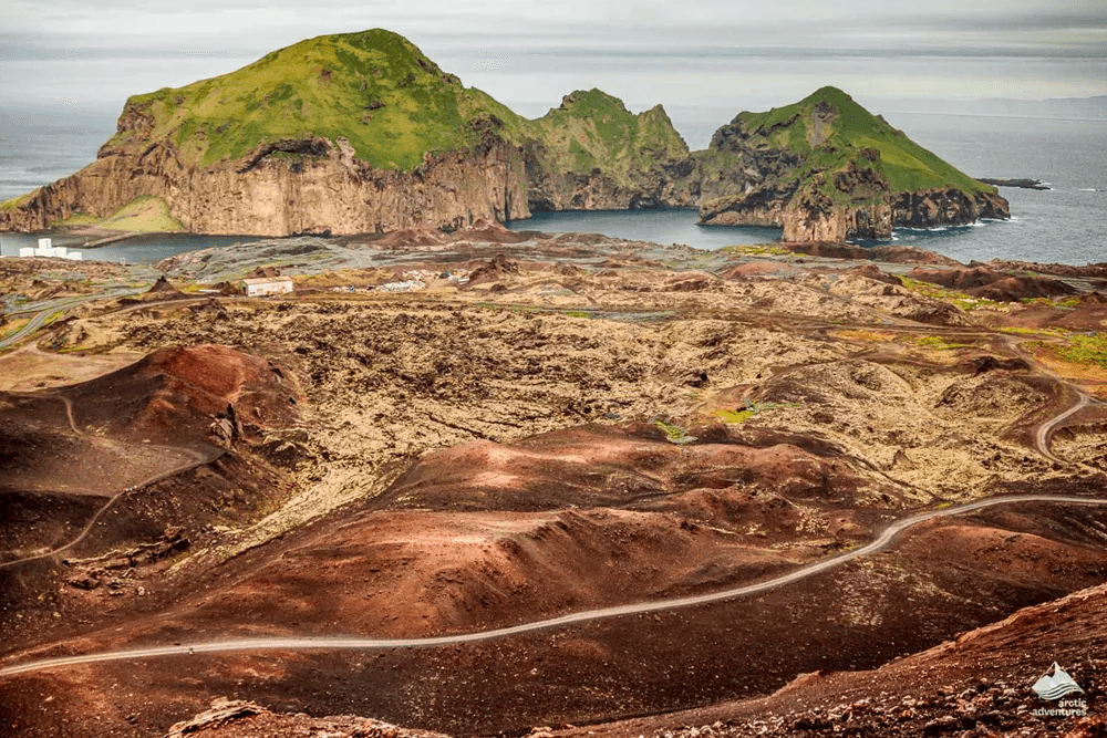Vestmannaeyjar Day Tour - photo 15