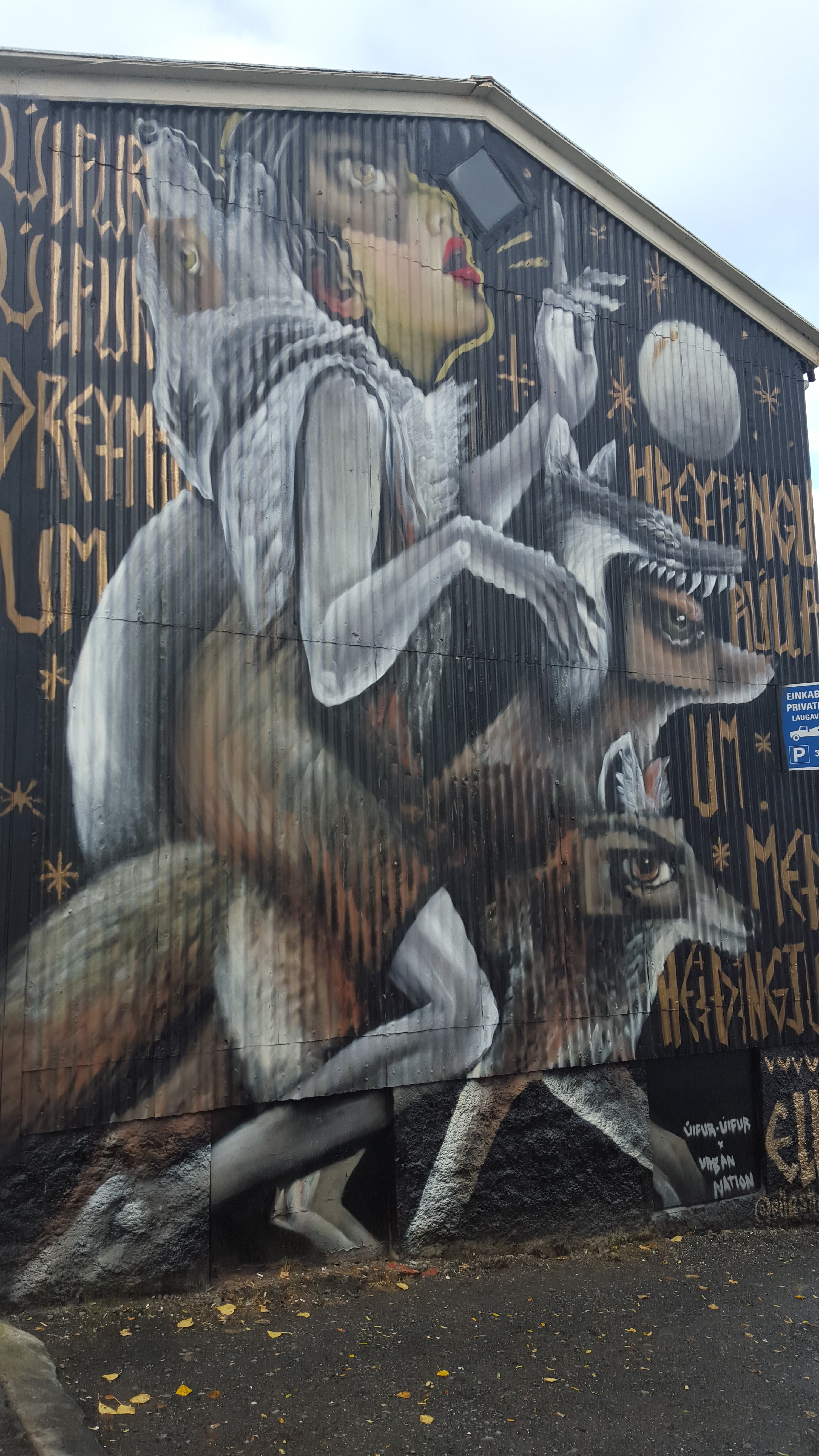 Private Reykjavik Street Art & Photo Friendly Walking Tour - photo 4