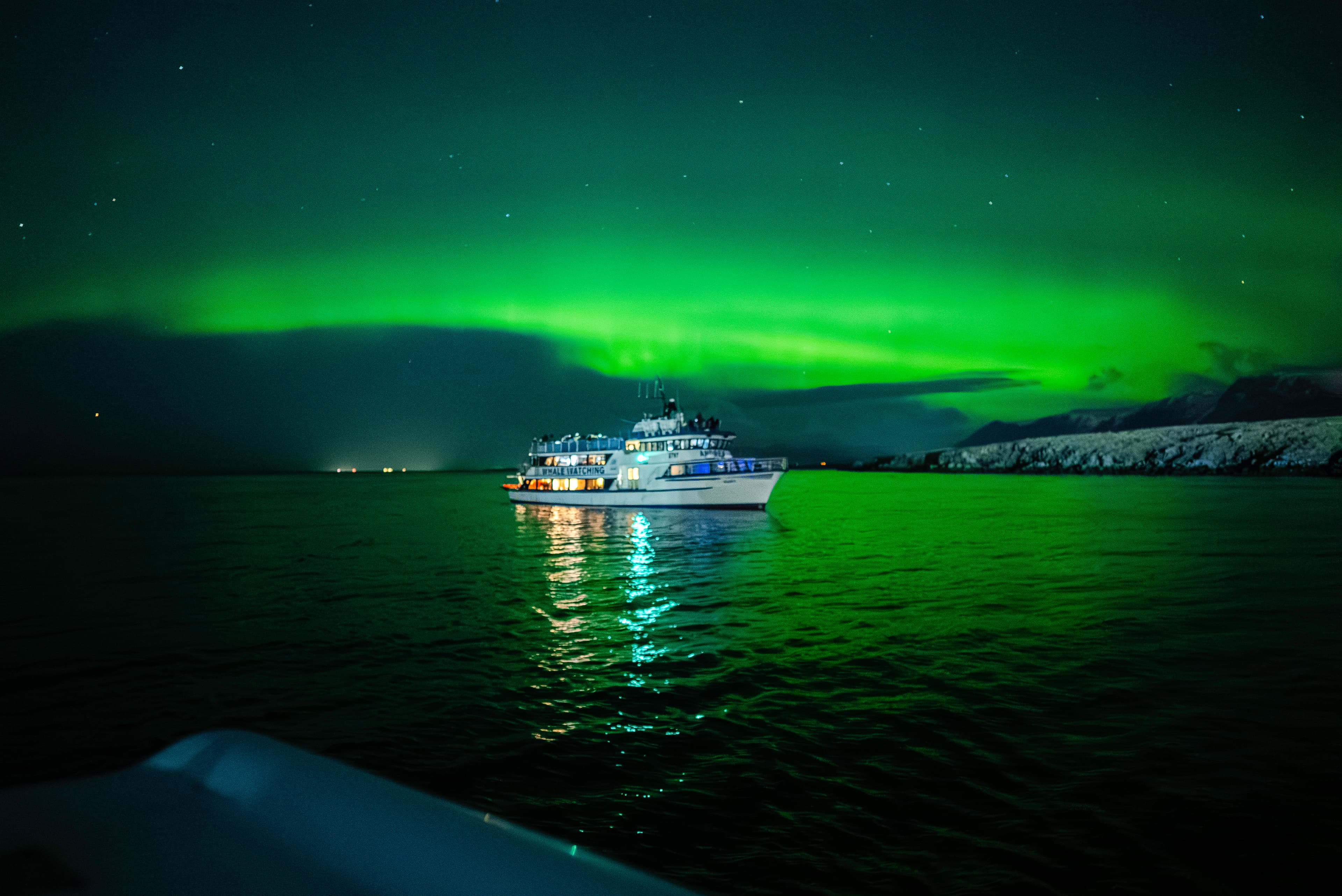 Golden Circle & Northern Lights by Boat Combo Tour - photo 7