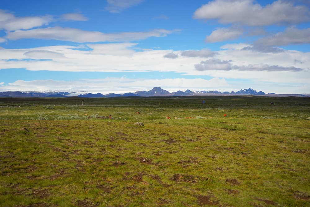 Golden Circle afternoon Private Tour