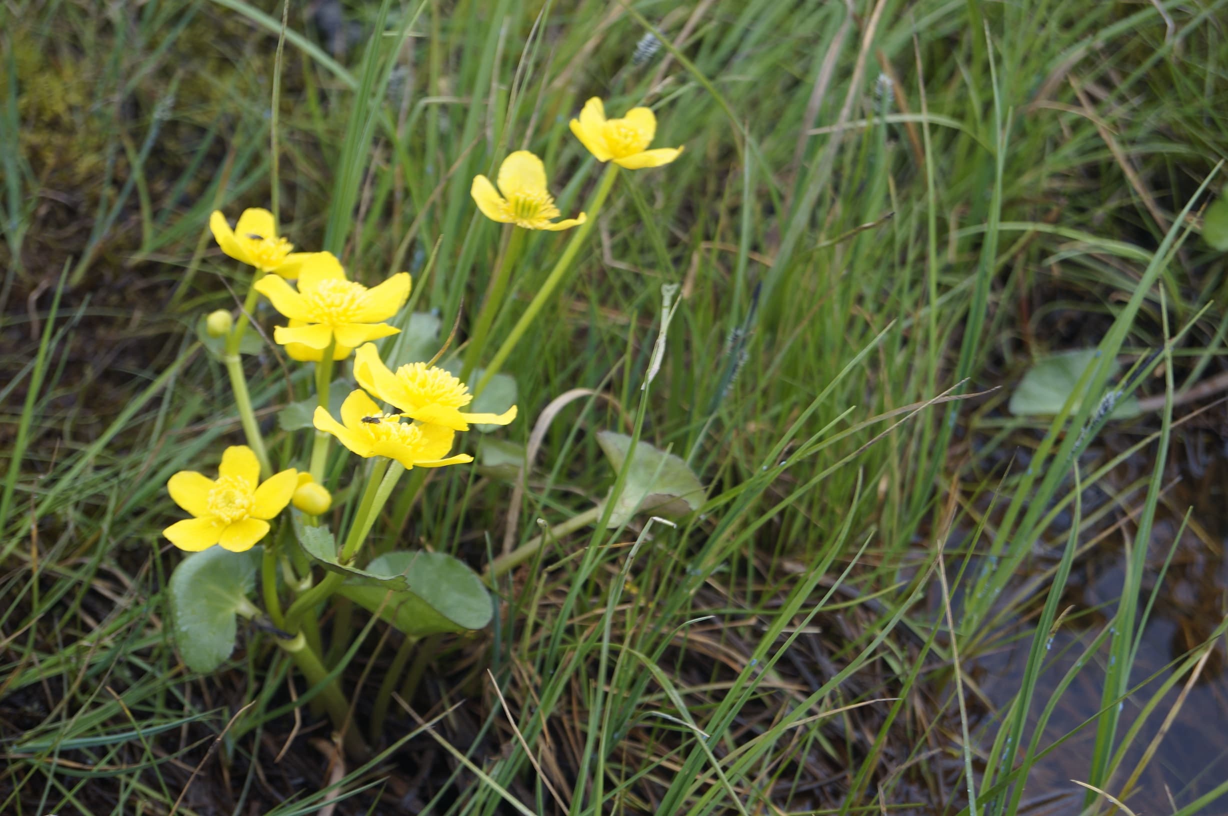 Private Day tour, you decide!  - photo 13