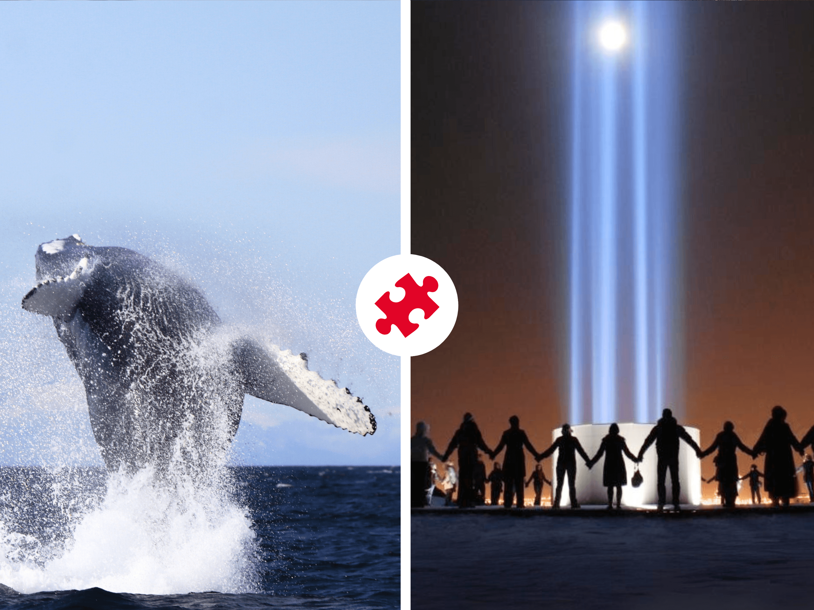 Reykjavík Whales & Imagine Peace Tower