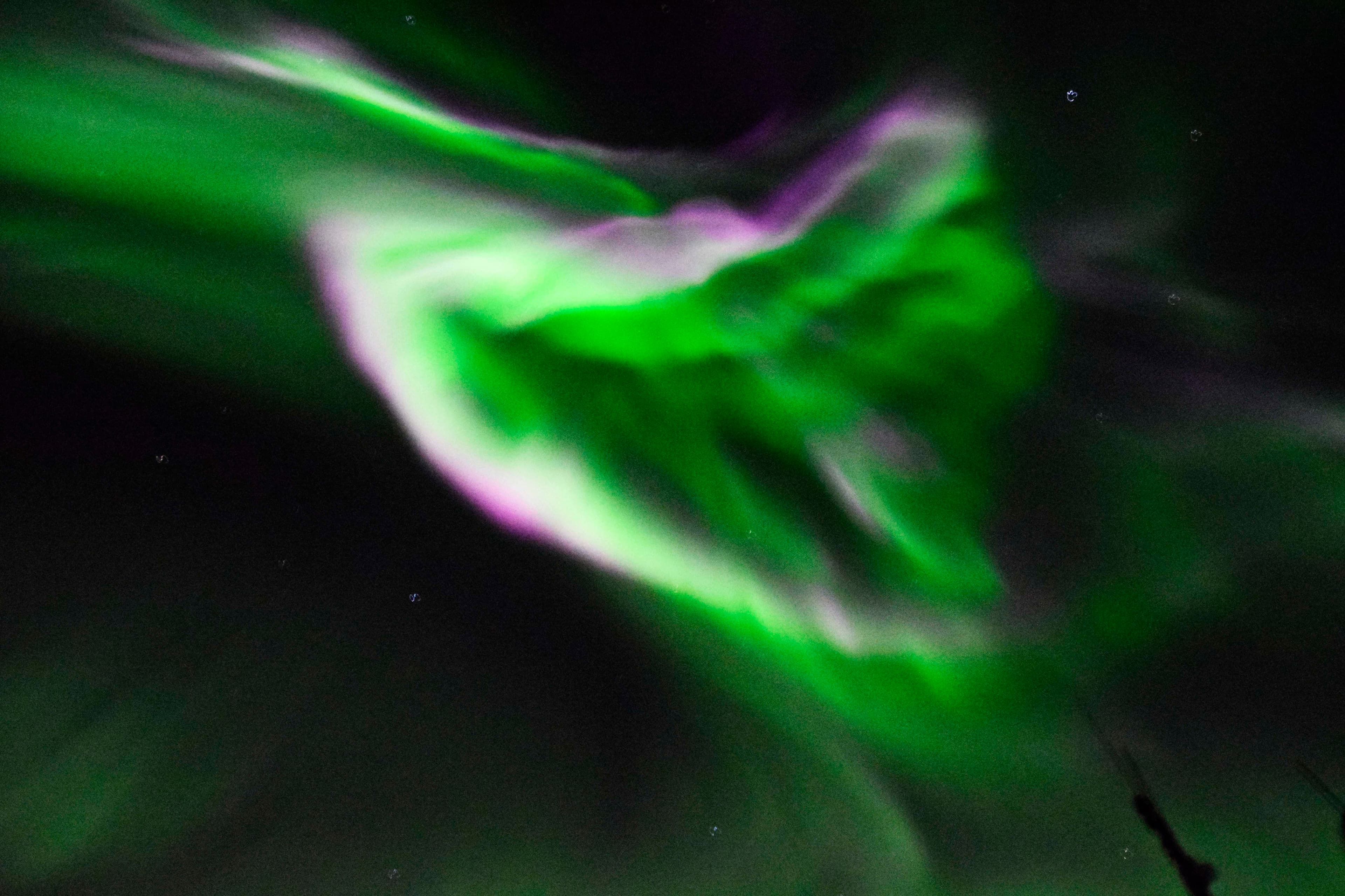 Whales & Auroras - photo 10