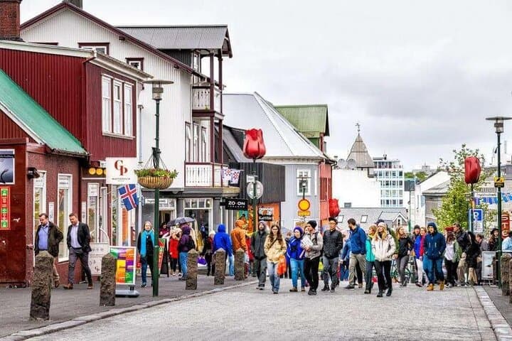 4 Hours Private Guided Tour in Reykjavík