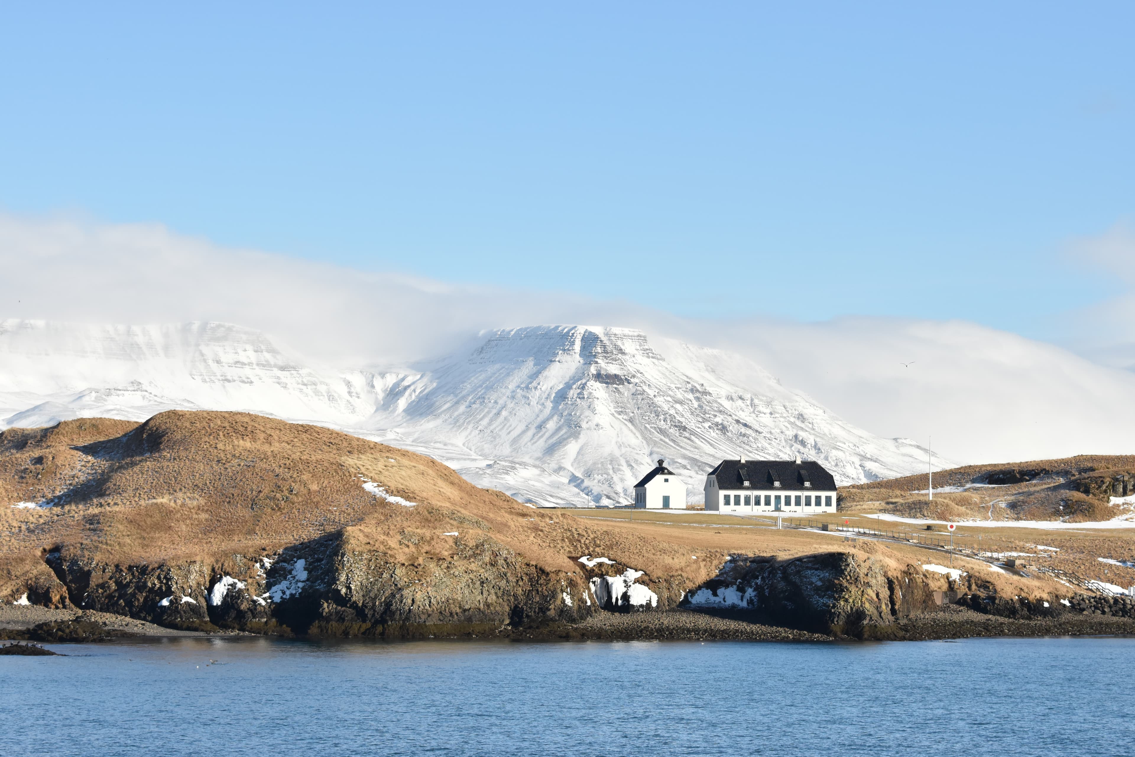 Reykjavík Whales & Viðey Island - photo 2