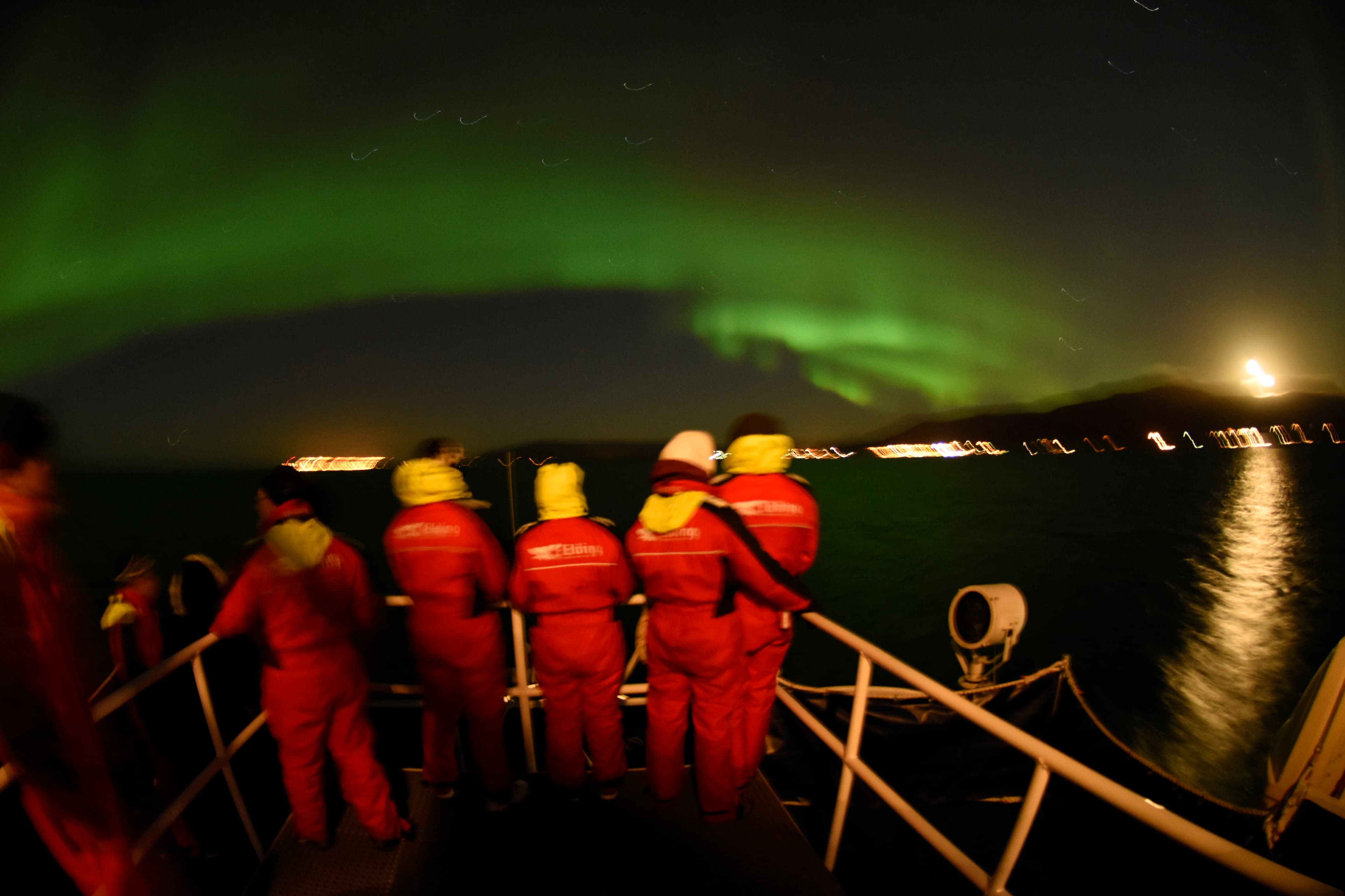 Reykjavík Northern Lights & City Cruise - photo 11