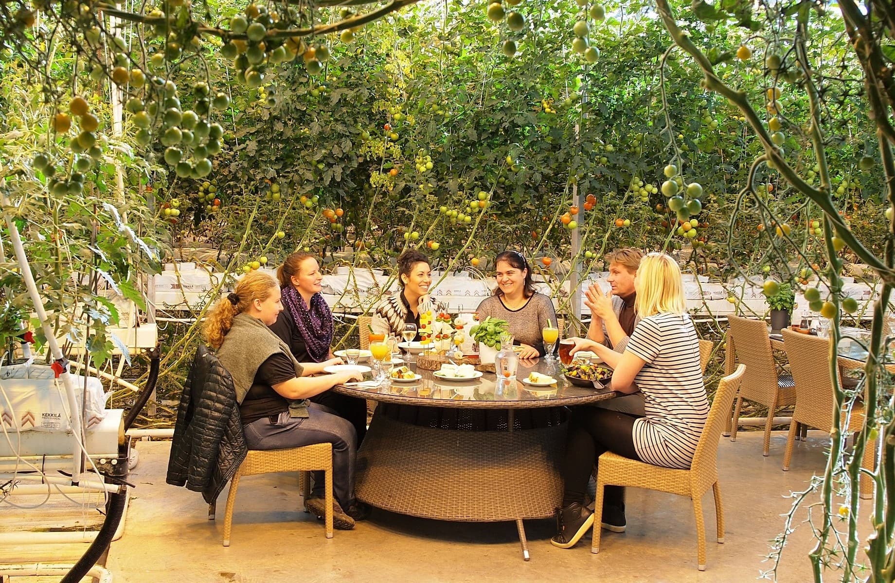 Círculo Dorado de Islandia en español - Minibús - photo 10