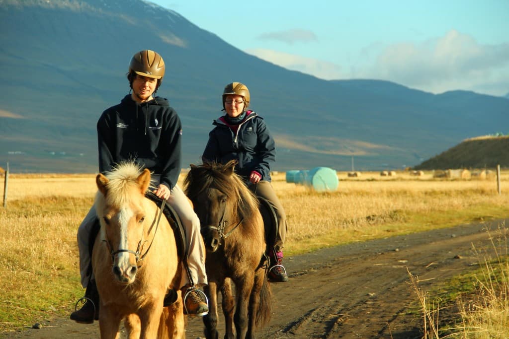 Pleasure in every hoof step - photo 8