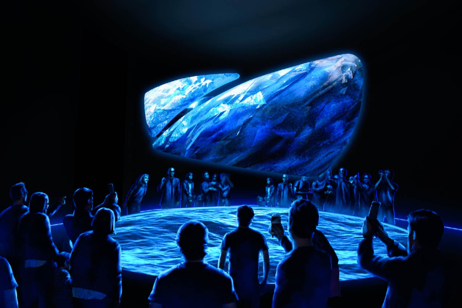 Whales & FlyOver Iceland - photo 2