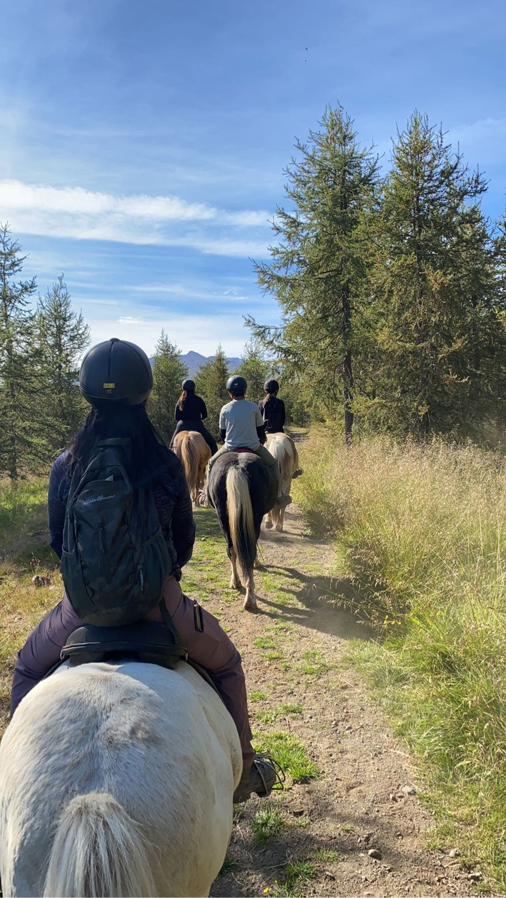 Horse Riding Tour and Explore Scenery in Gásir Akureyri - photo 18