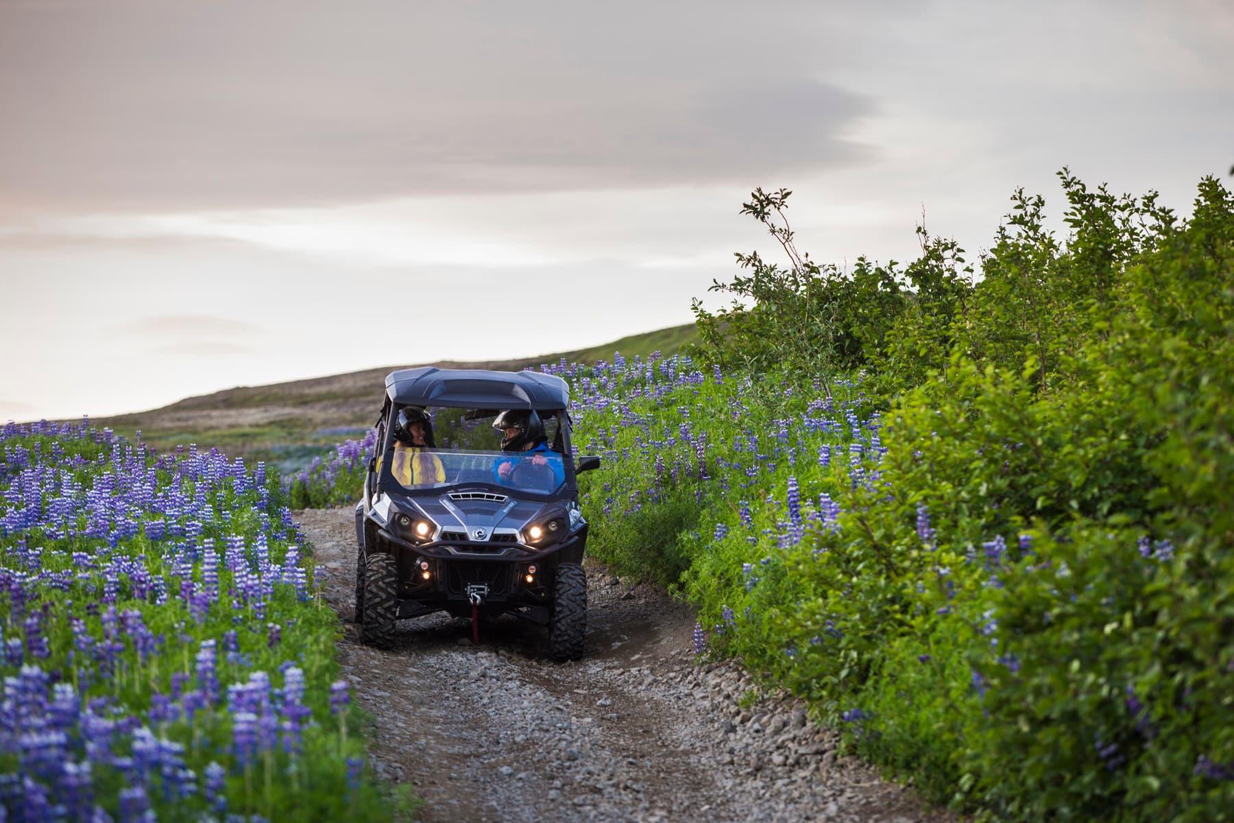 Buggy & Golden Circle - photo 2