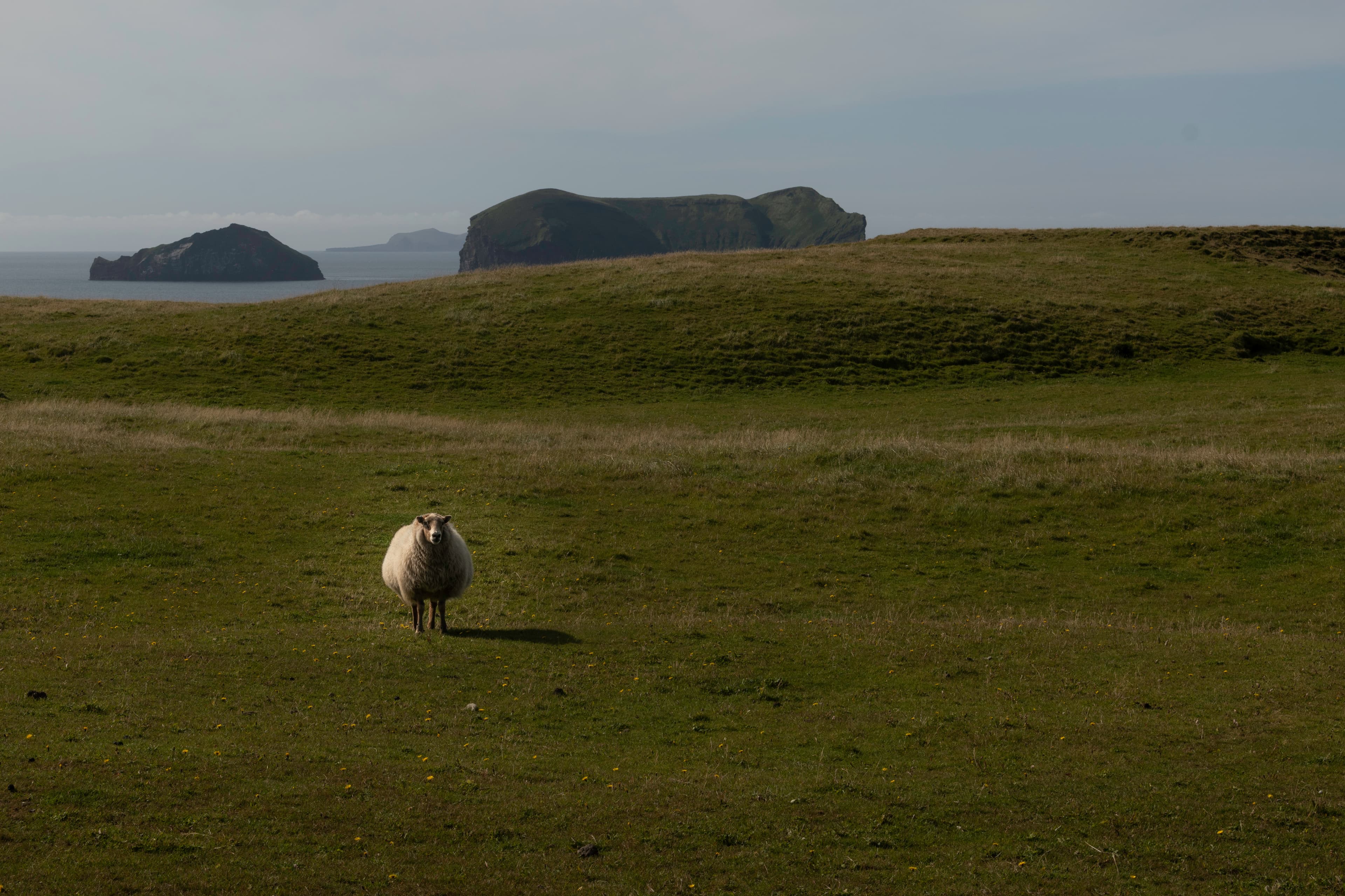 Private SuperJeep tour to the Westman Islands: History and Natural Wonders