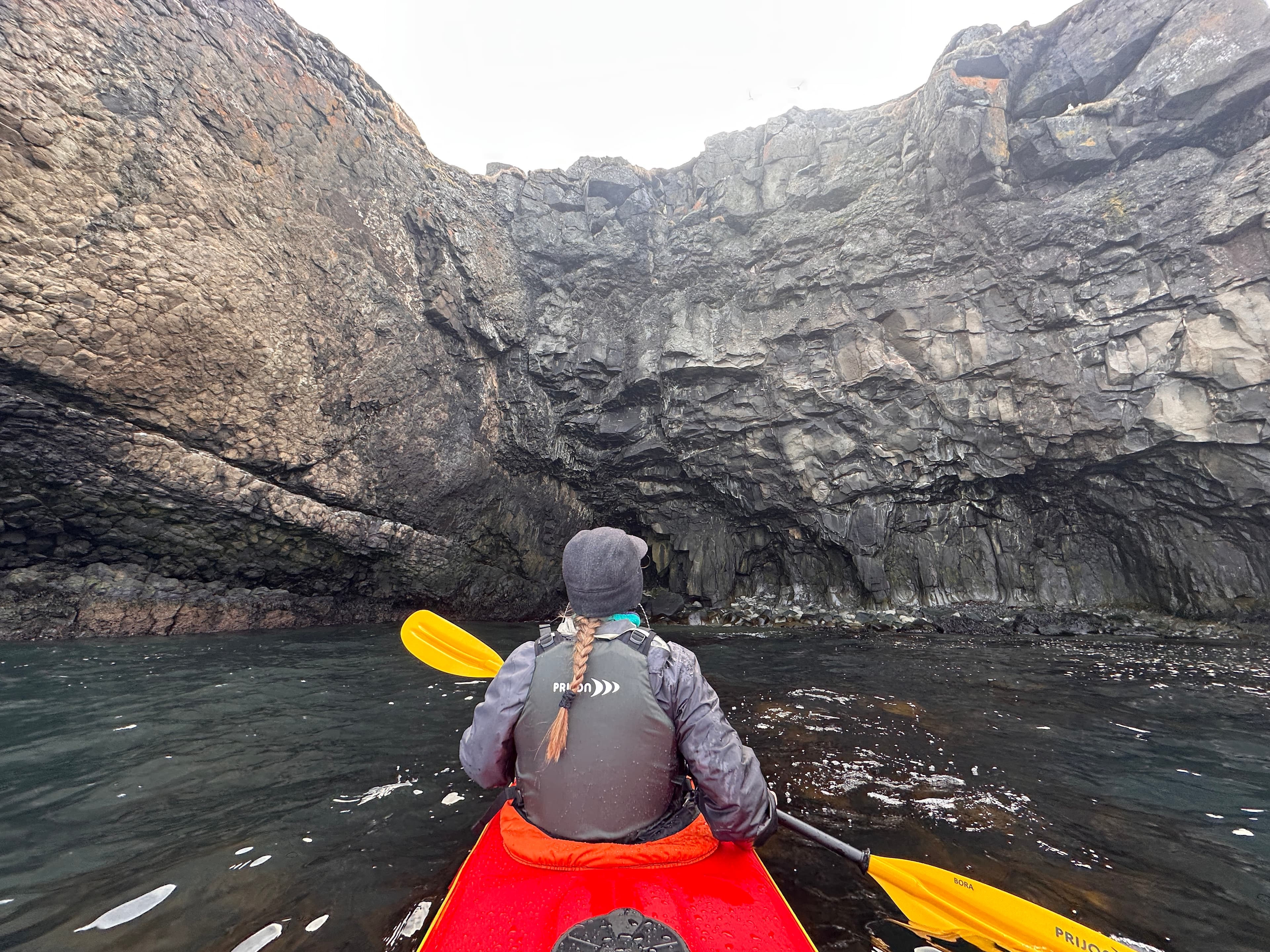 Guided Kayak Tour in Árskógssandur: Explore Coastline & Wildlife - photo 12