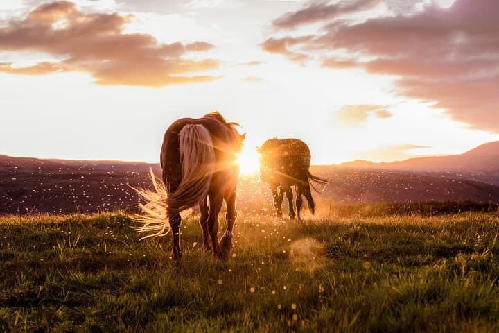 South Coast day tour in a small group - photo 21