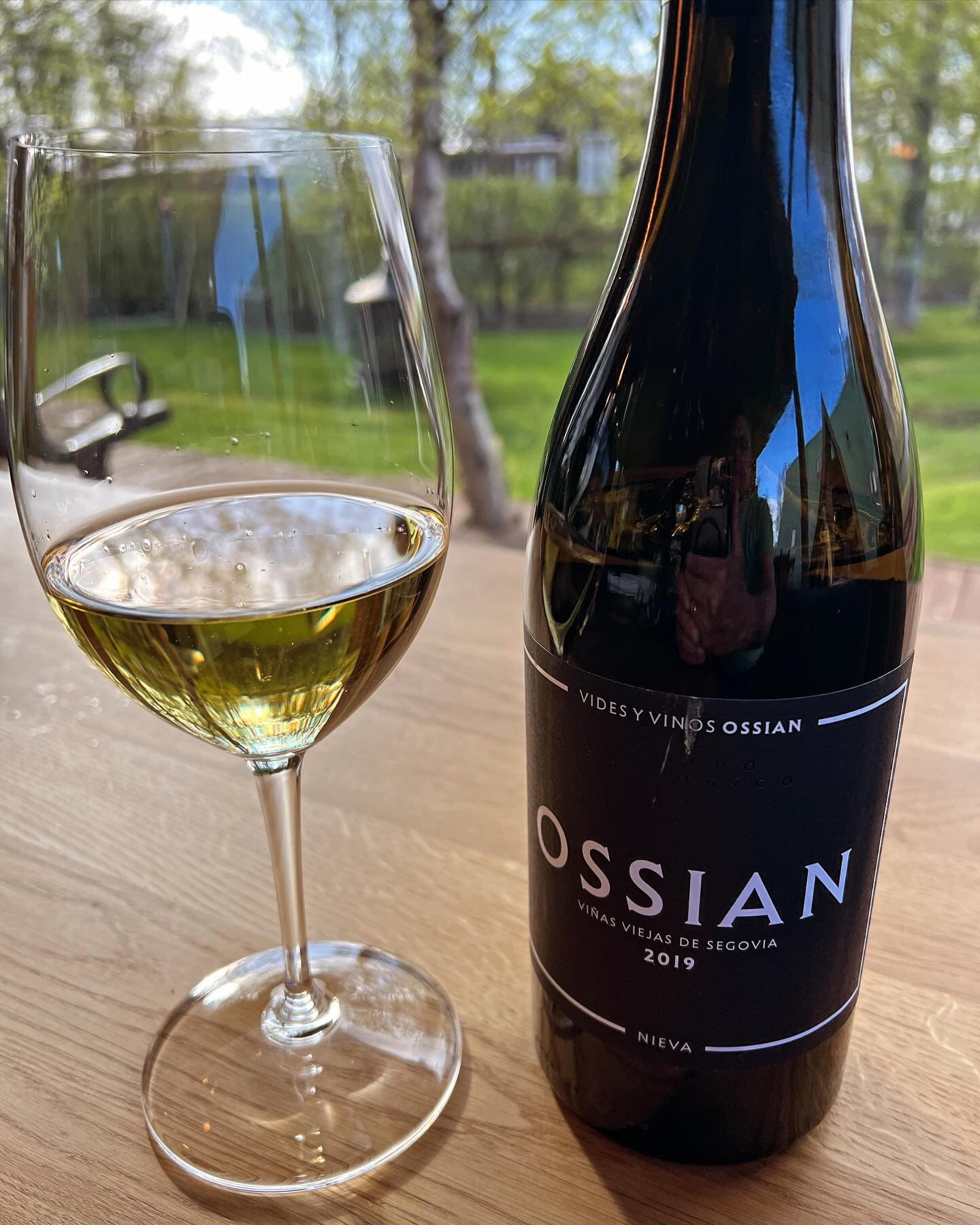 Wine Tasting and Food Pairing by the Lake - photo 19