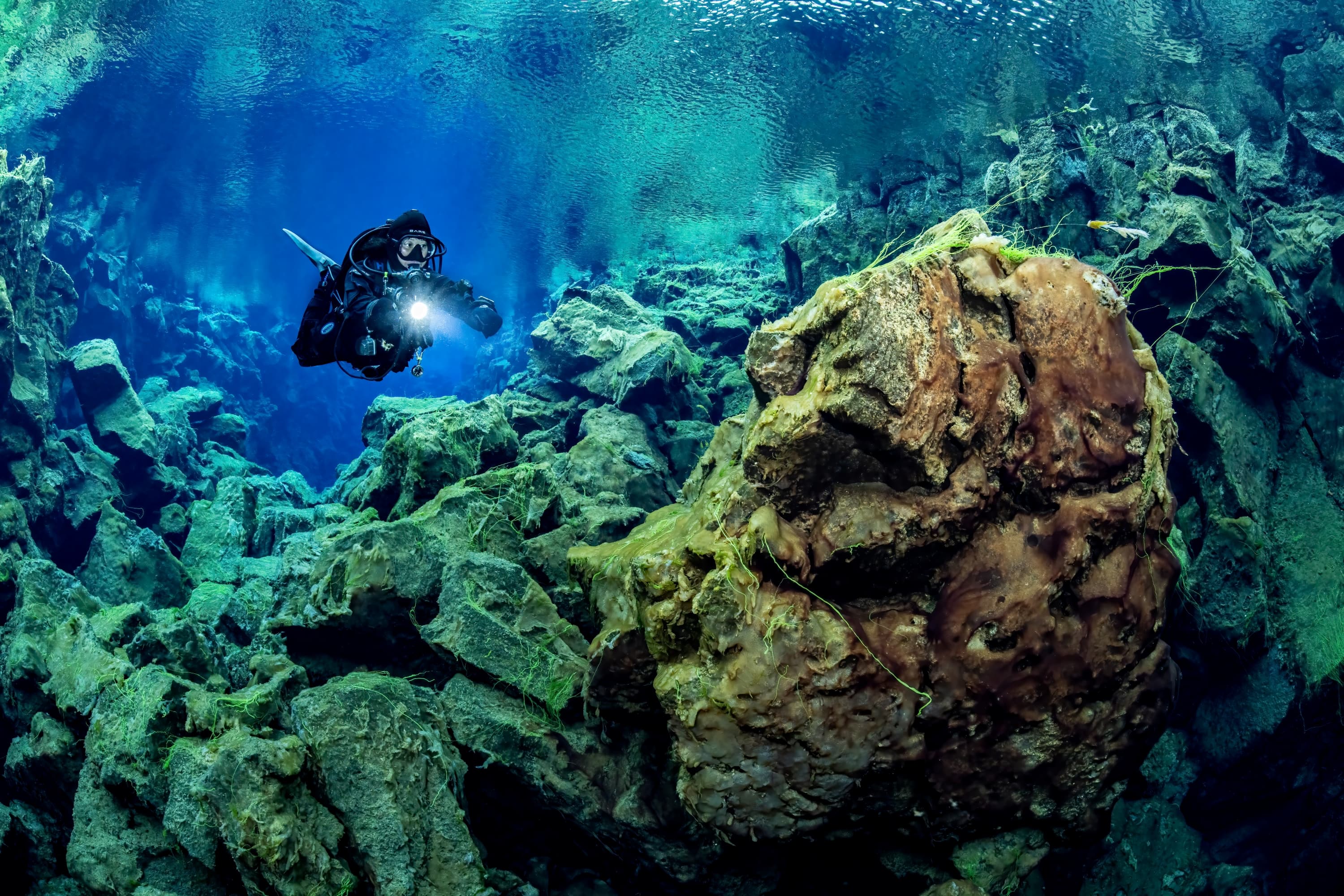 Deep Into the Blue - Silfra Diving from Reykjavík - photo 3