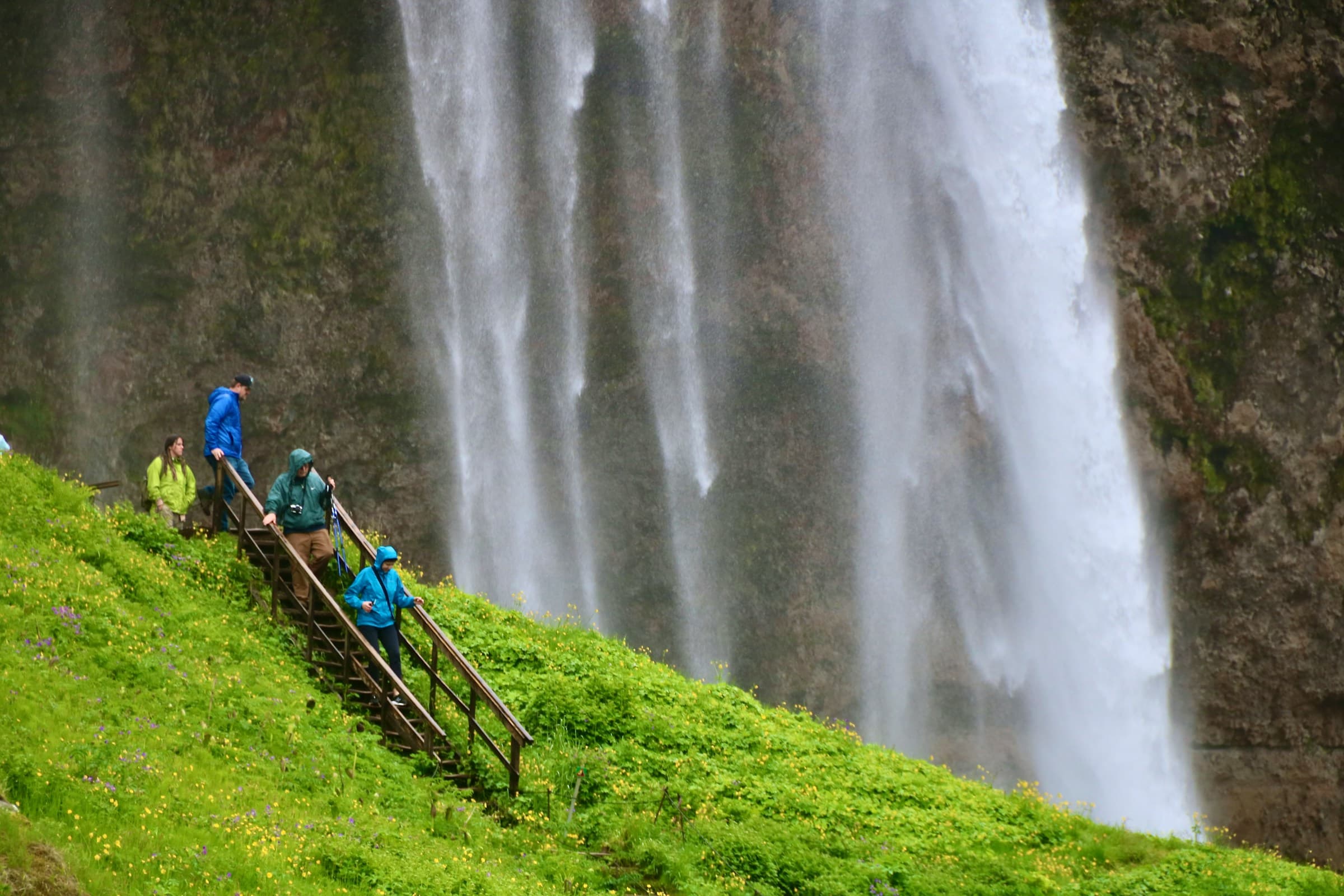 Private South Coast Waterfalls, Beach and Glacier Tour from Reykjavik